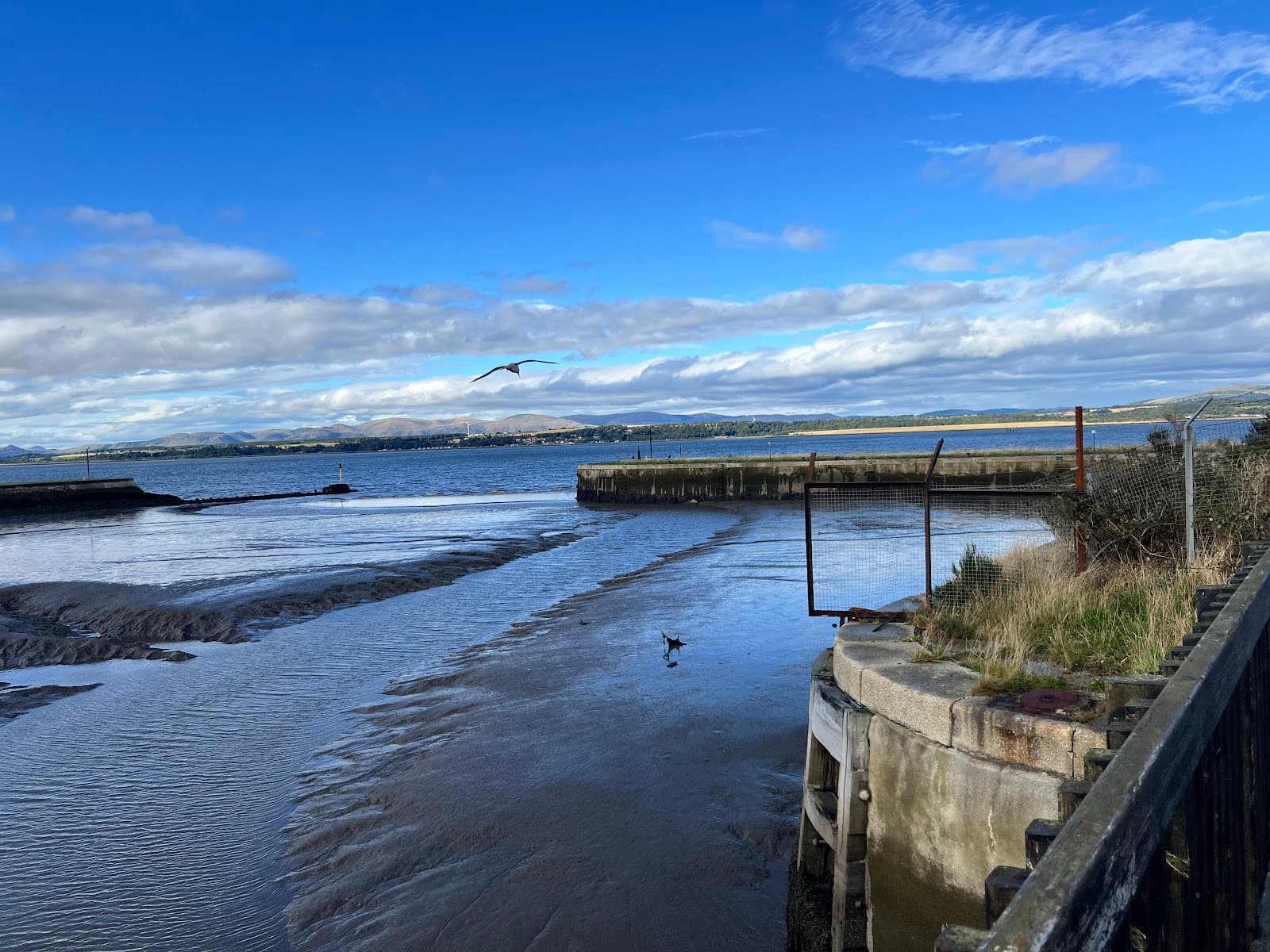 Bo'ness Harbour - Image 1