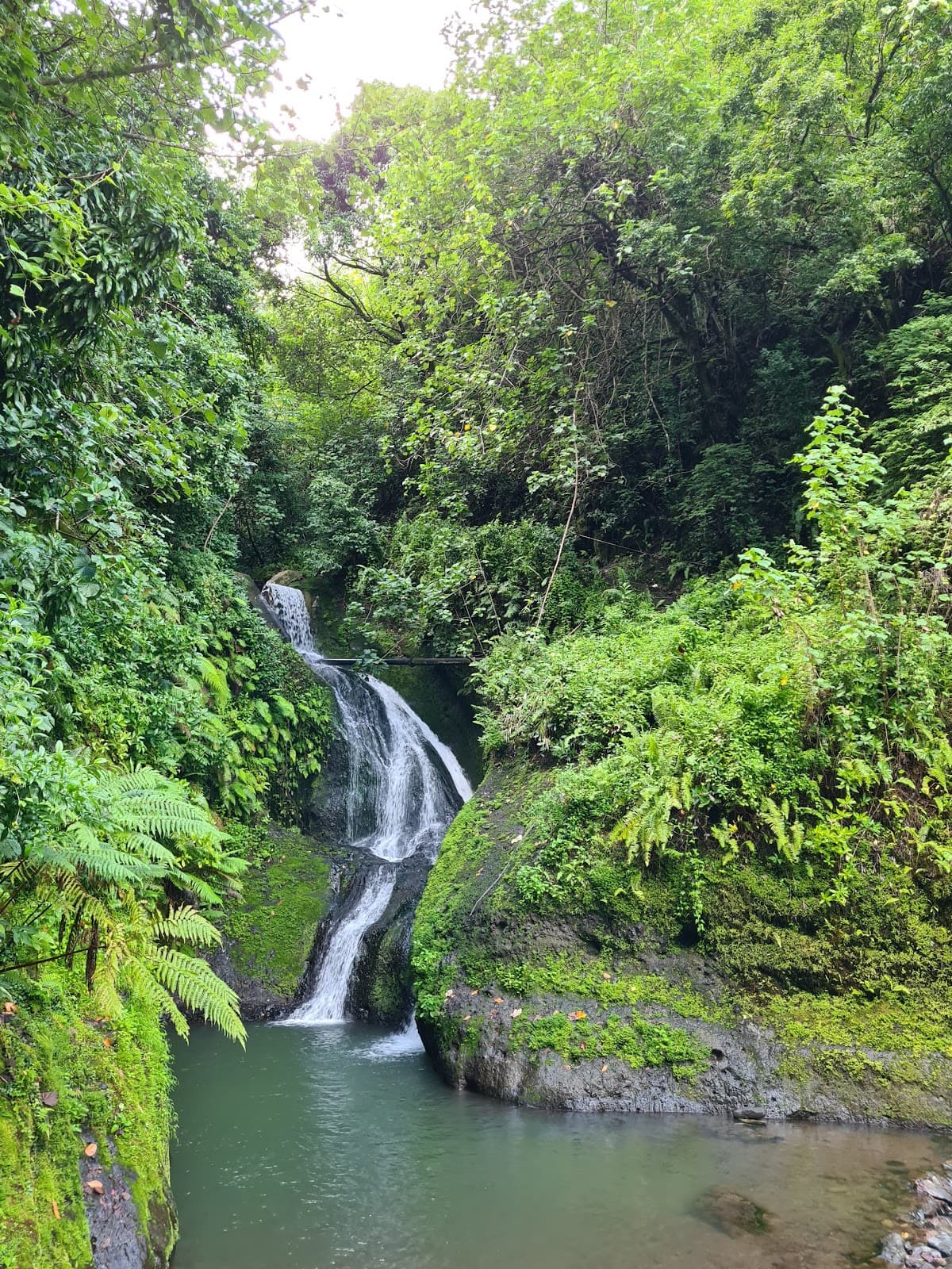 Wigmore's Waterfall (Papua) - Image 1