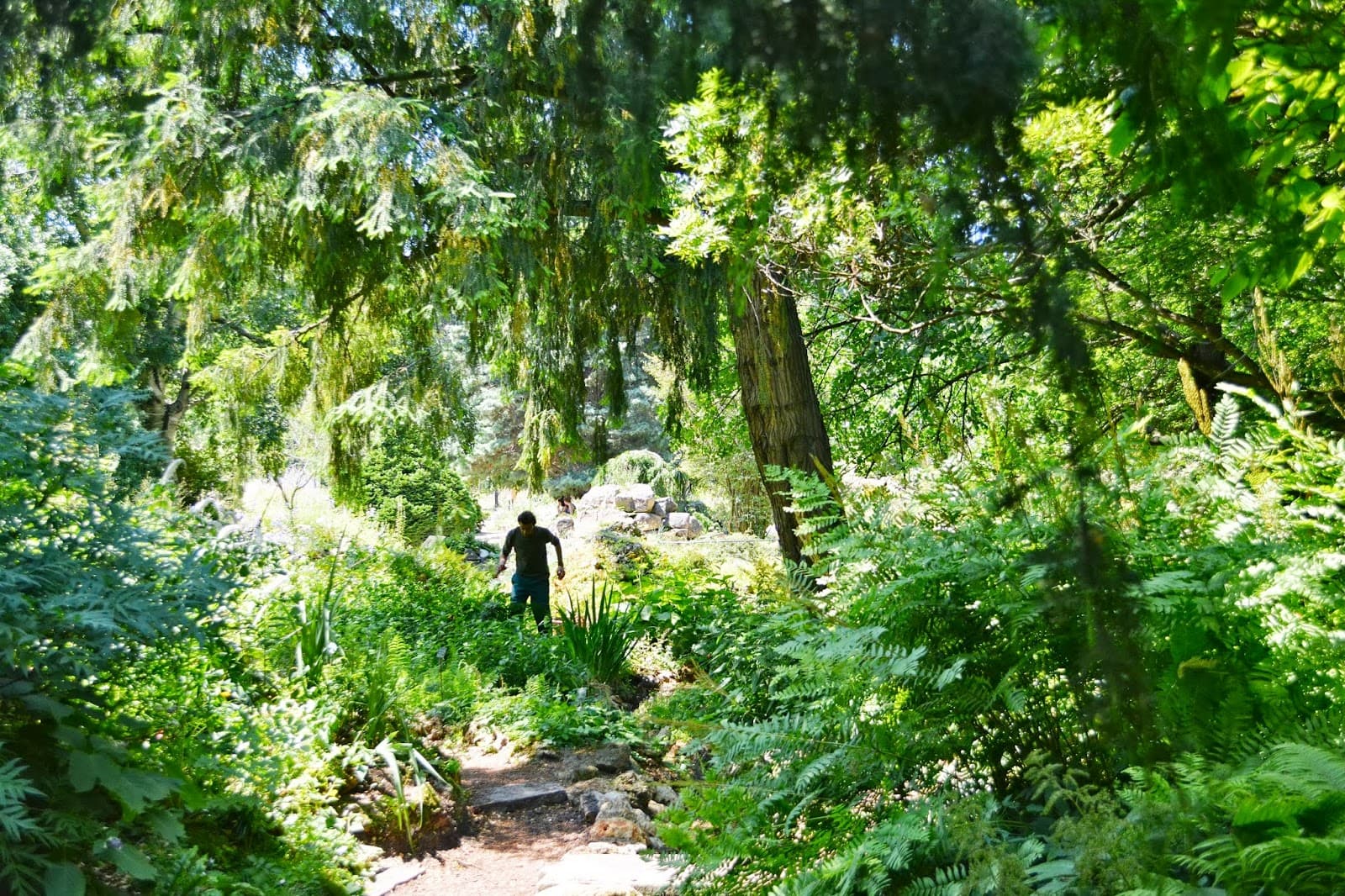 Jardin des Plantes (Alpine Garden) - Image 1