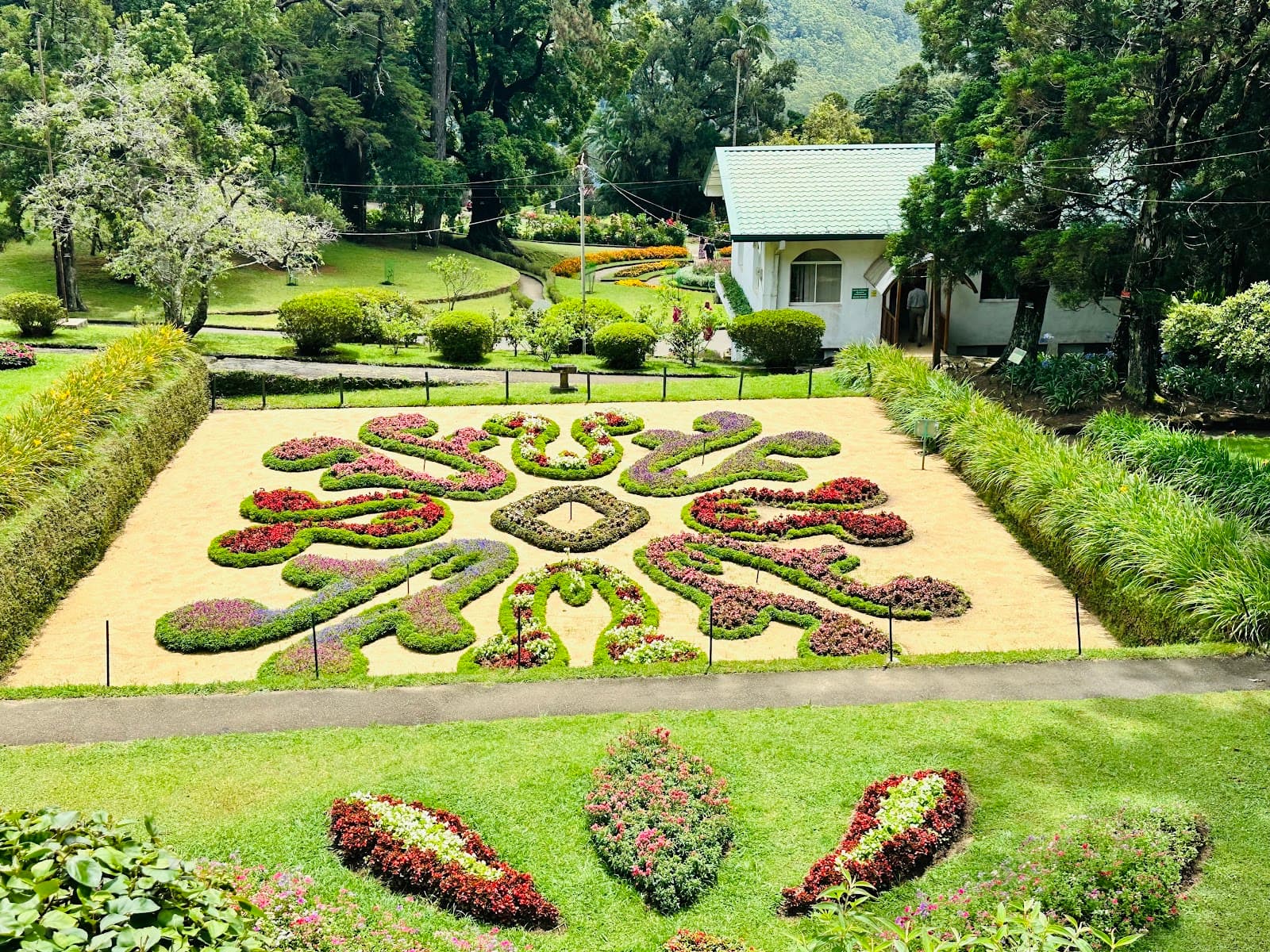 Hakgala Botanical Garden - Image 1