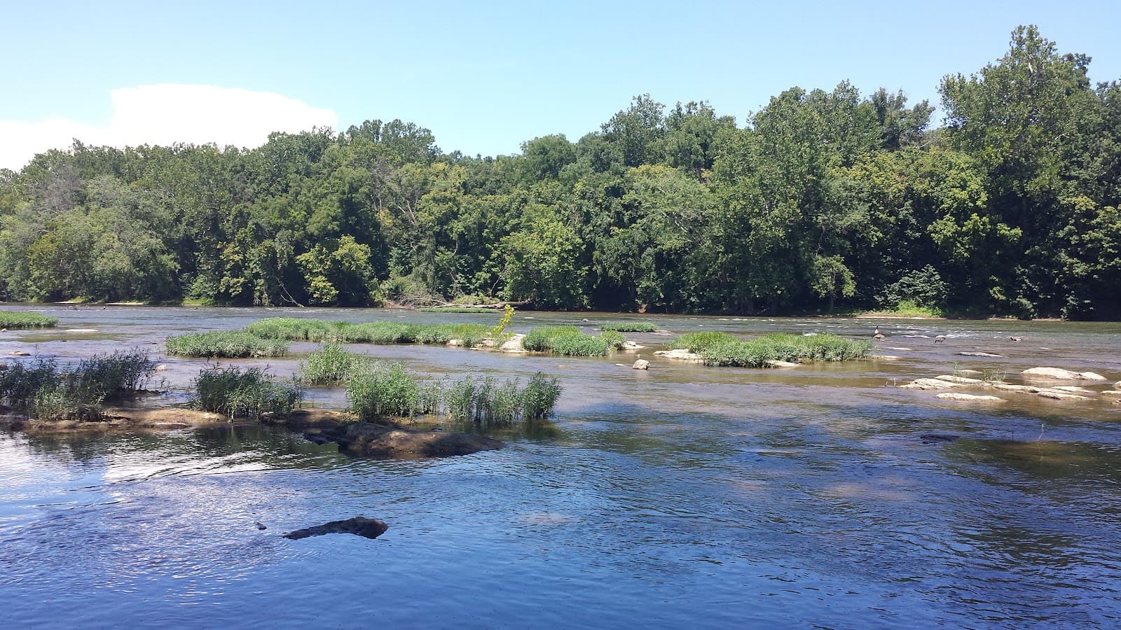 Shannondale Springs WMA - Image 1