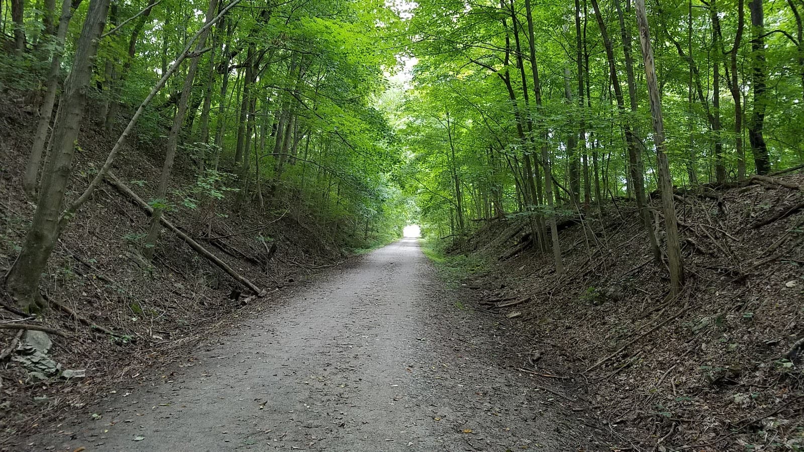 Montour Trail – Hendersonville/Cecil Access - Image 1