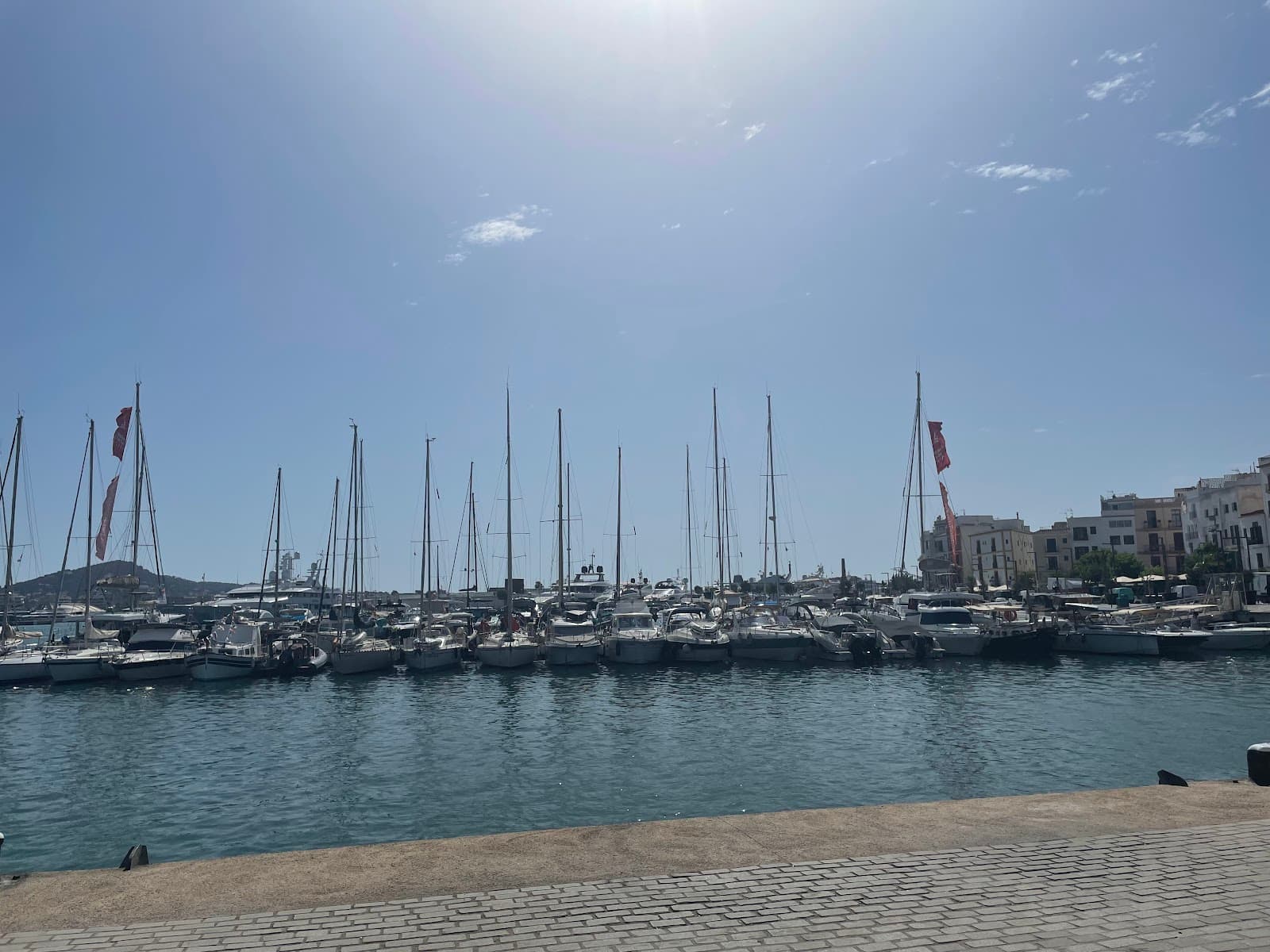 Talamanca Boardwalk - Image 1