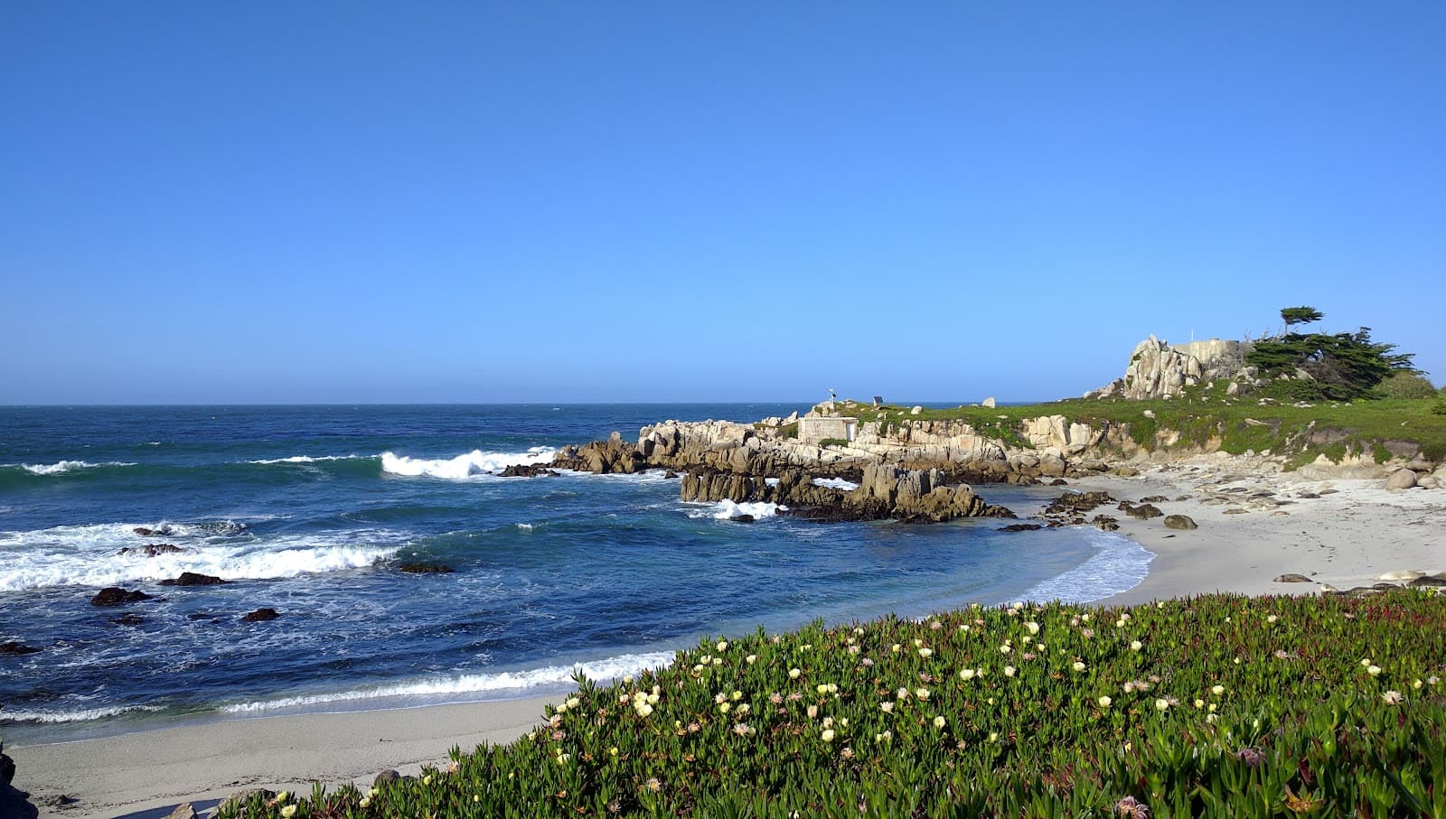 Hopkins Marine Station Great Tide Pool - Image 1