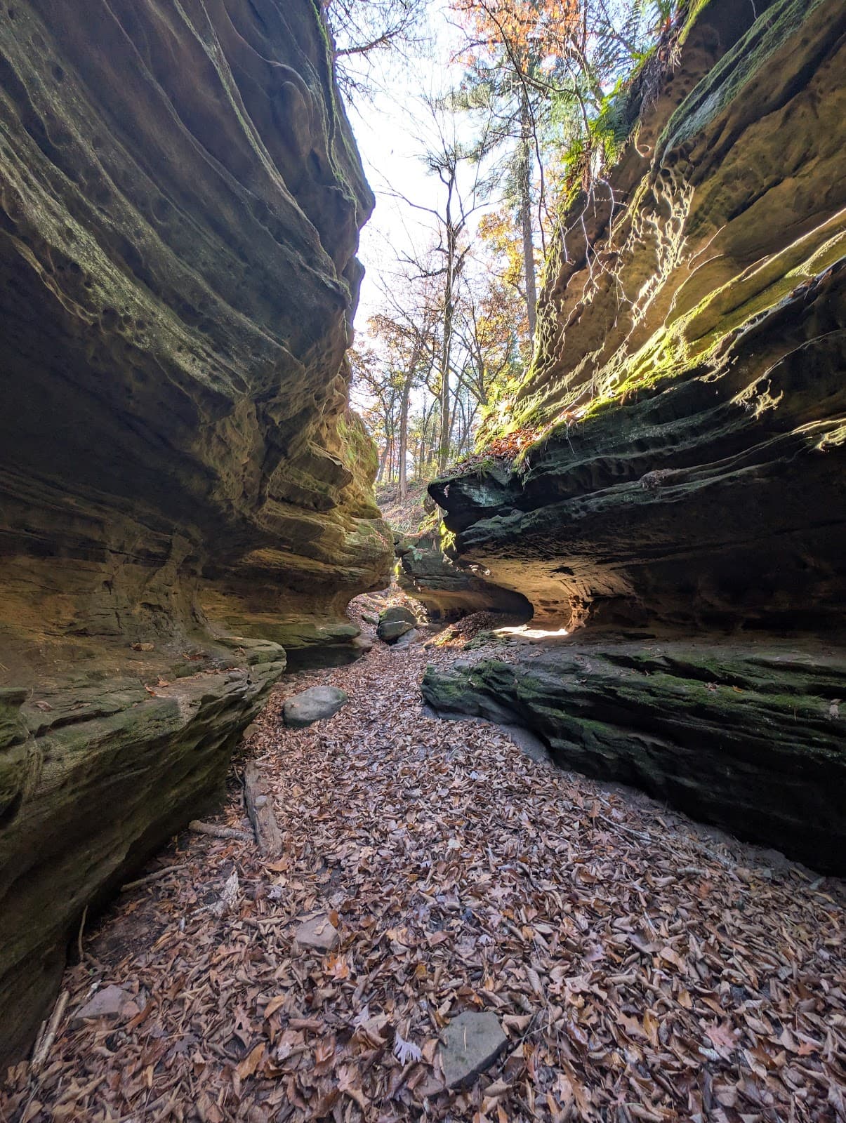 Fern Dell Gorge State Natural Area - Image 1