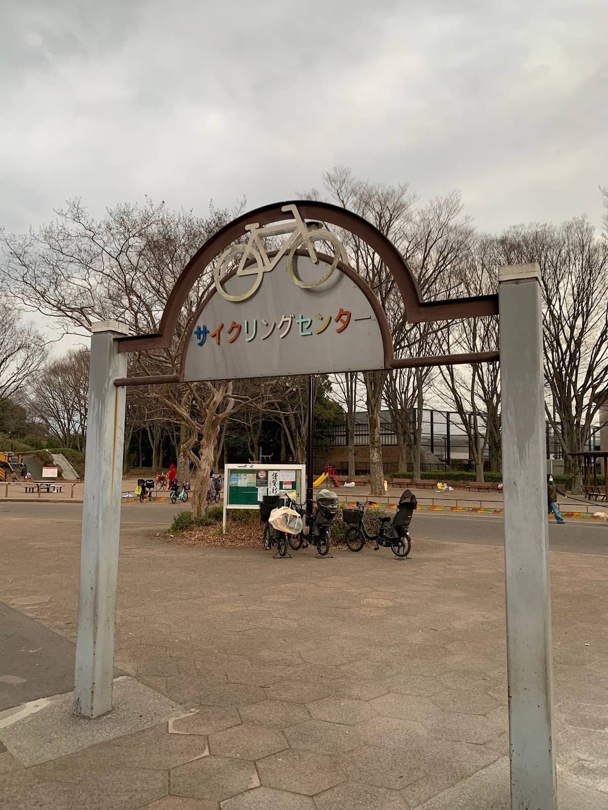 Rental Bicycle Fleet