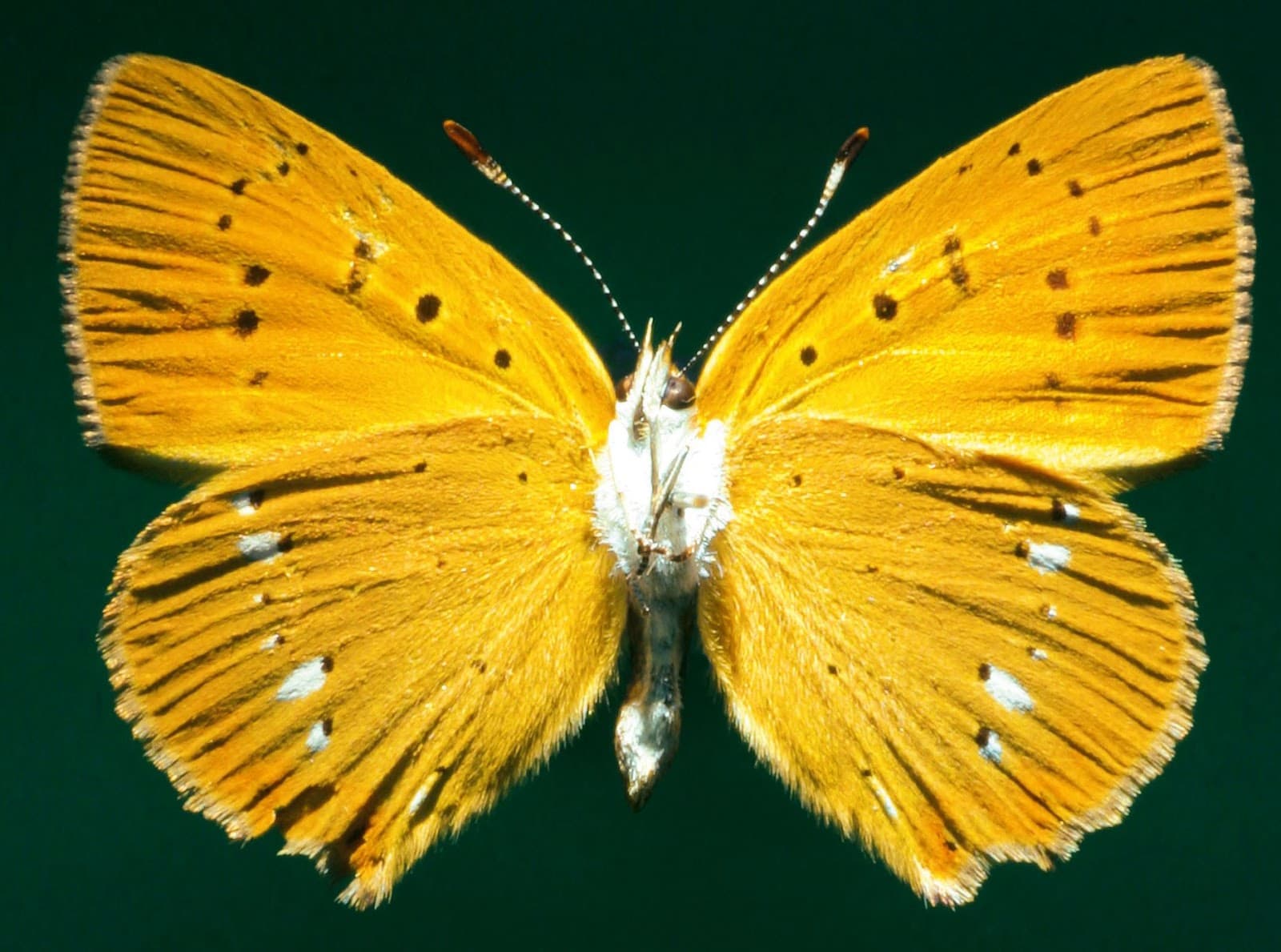Natural History Museum Aschaffenburg - Image 1
