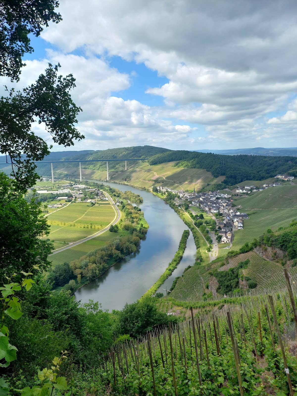 High Moselle Bridge Vista