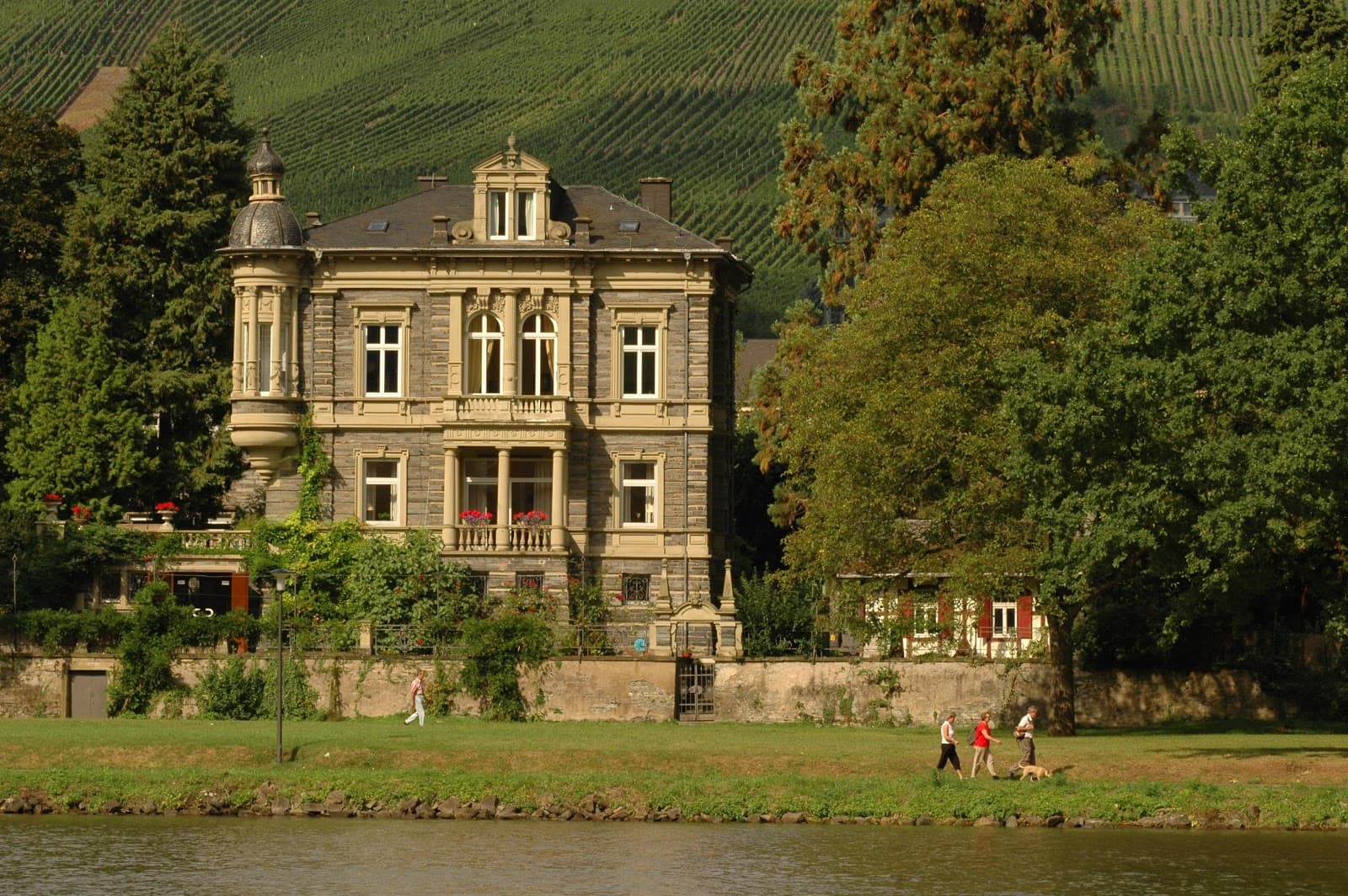 Bernkasteler Doctor Vineyard - Image 1