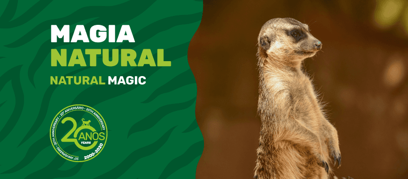 Zoo de Lagos - Image 1