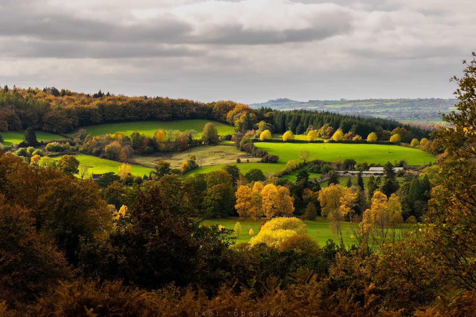 Heaven’s Gate, Longleat - Image 1
