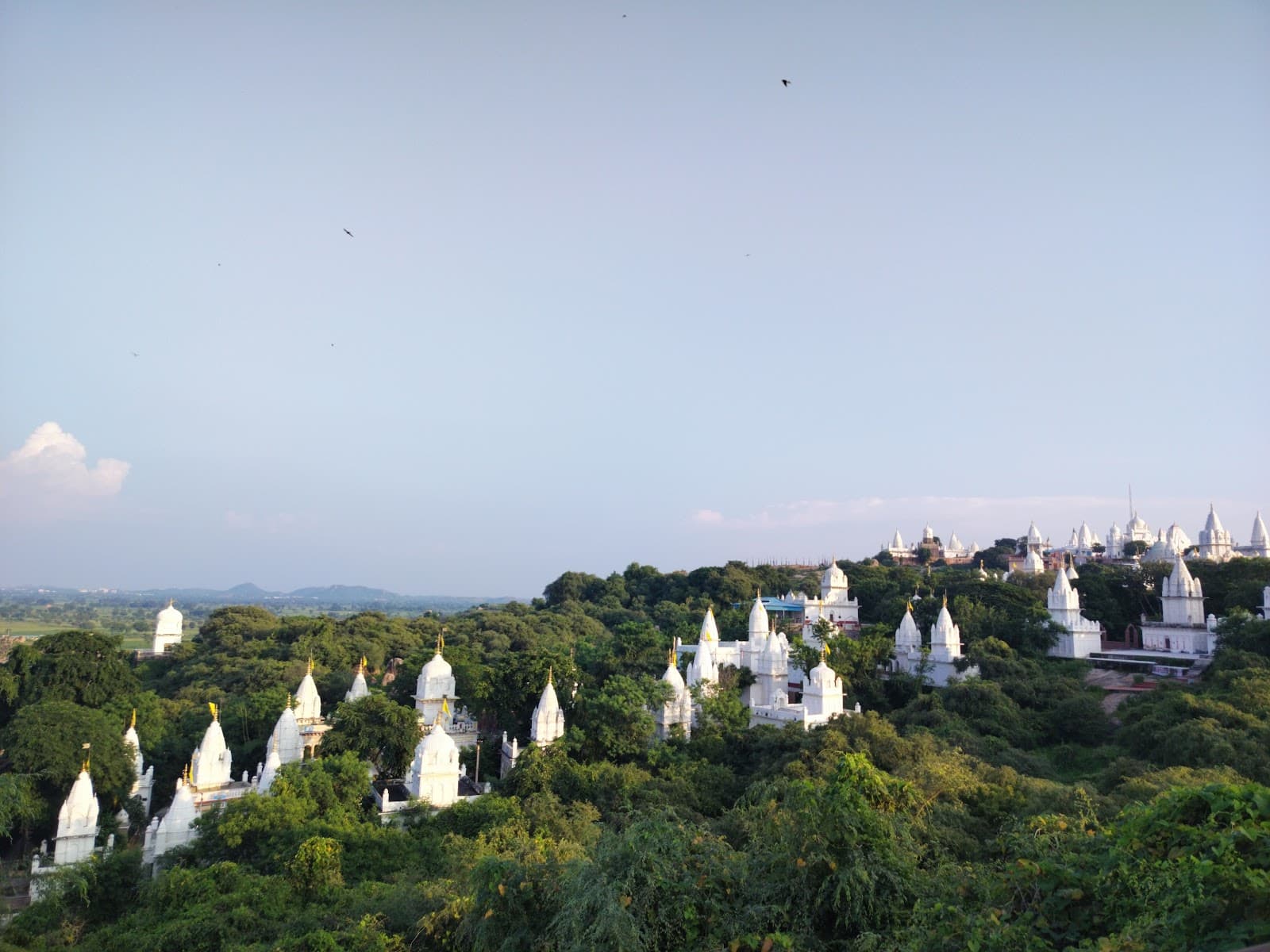 Sonagiri Jain Temples - Image 1