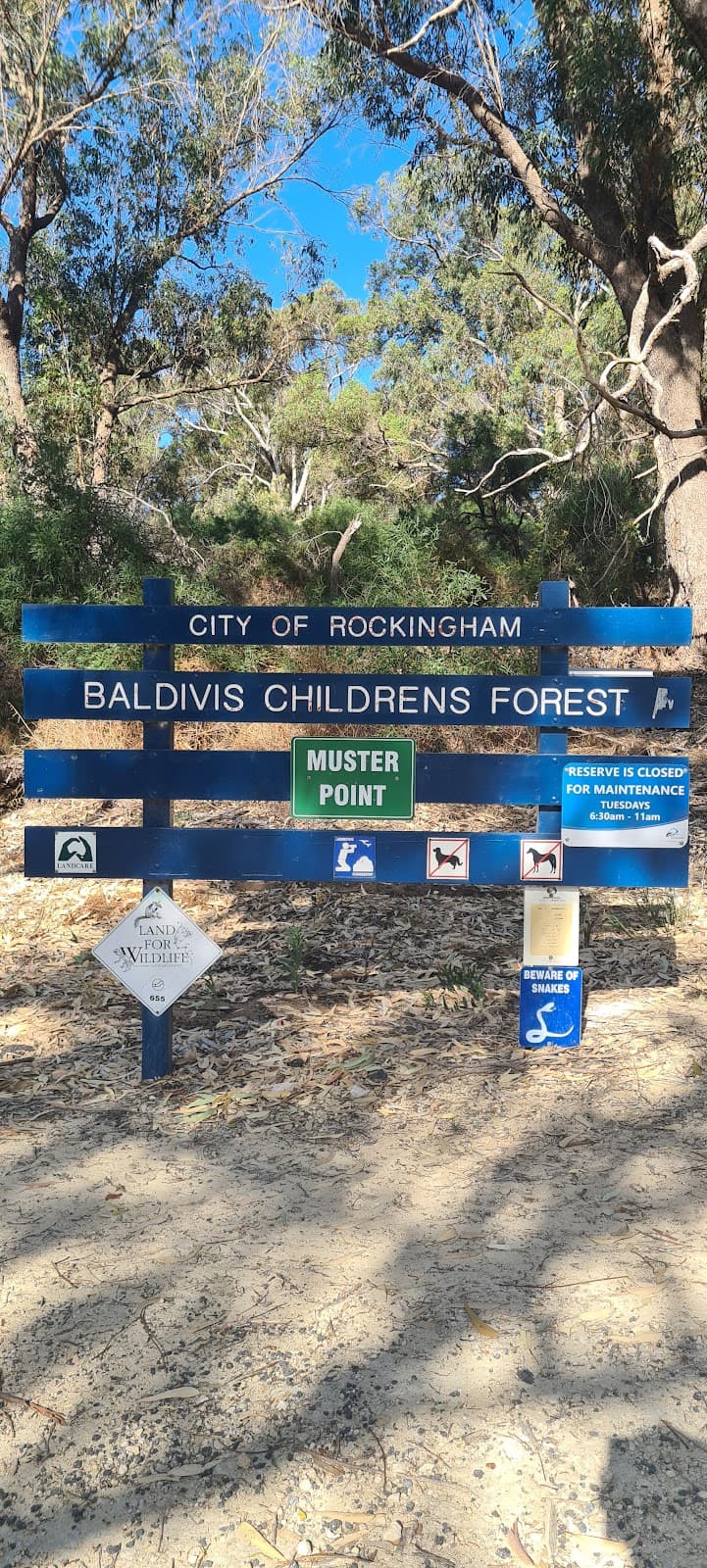 Baldivis Children's Forest - Image 1