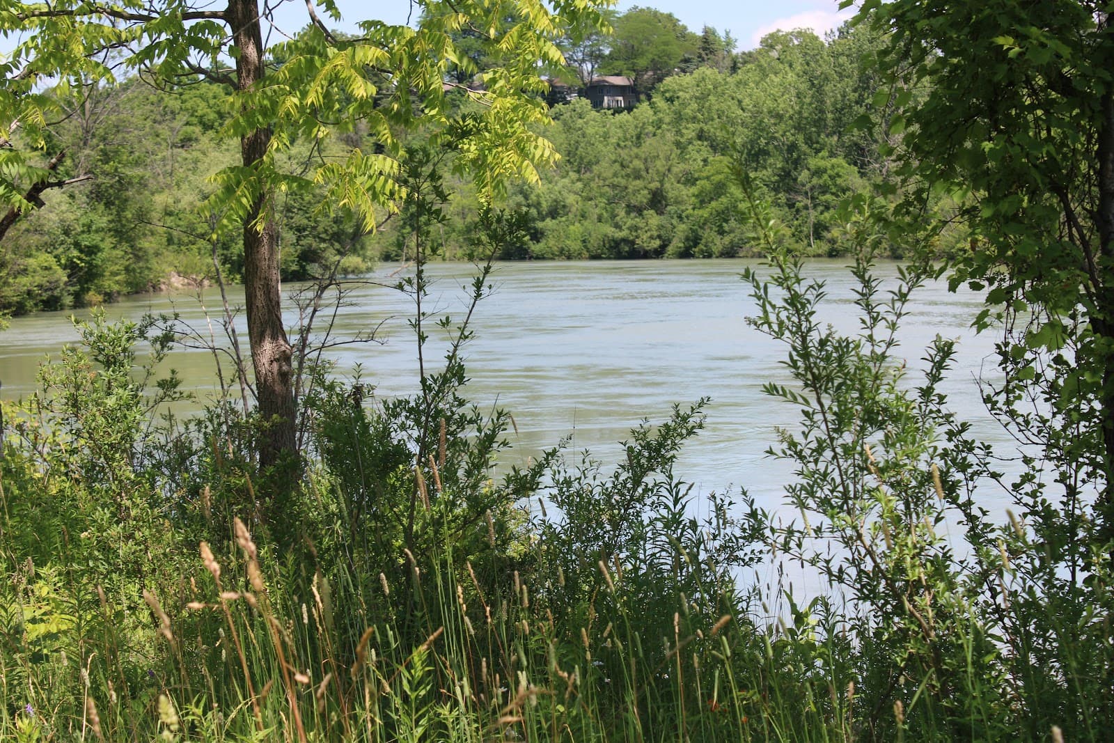 Twelve Mile Creek Trail - Image 1