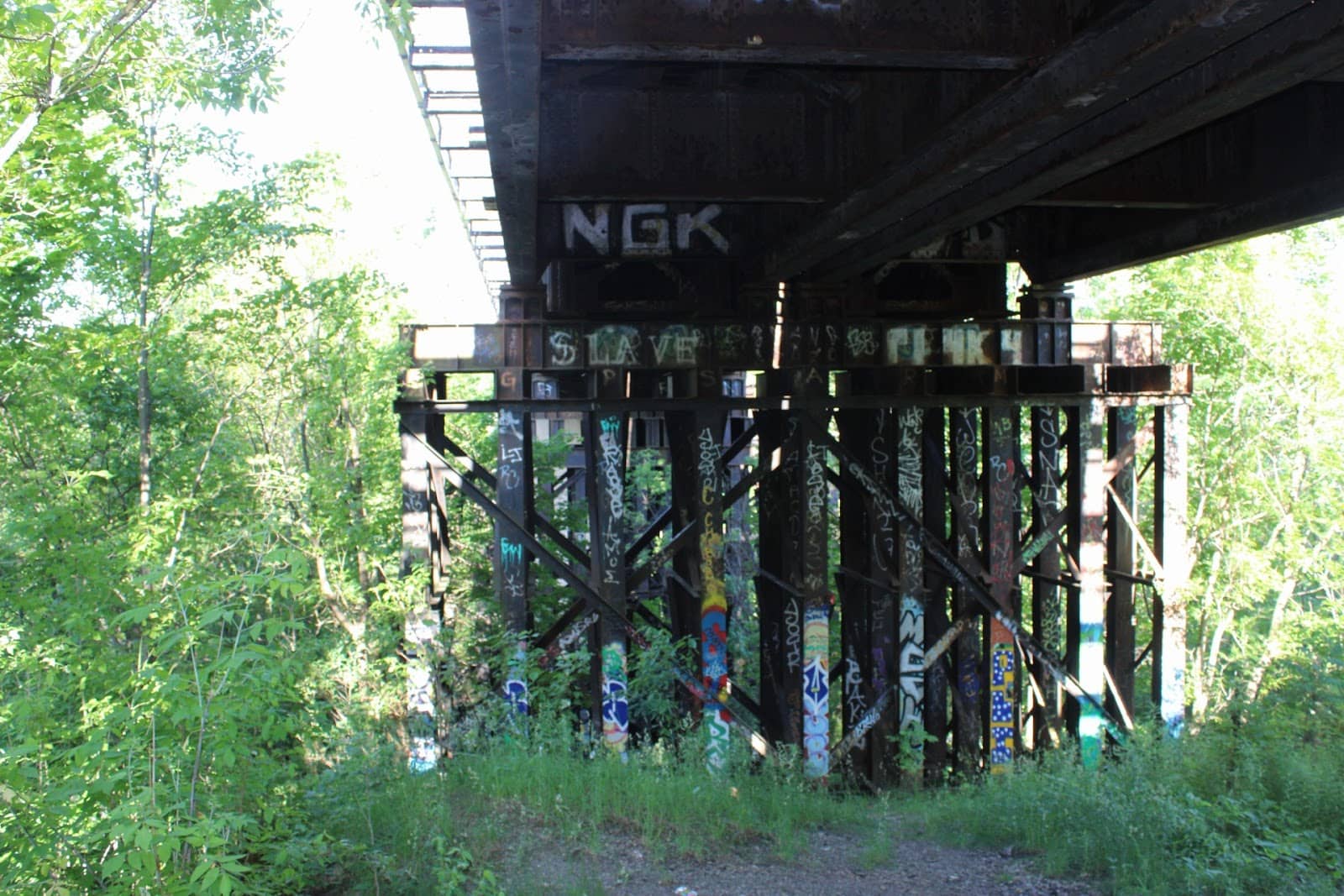 Vertical photo