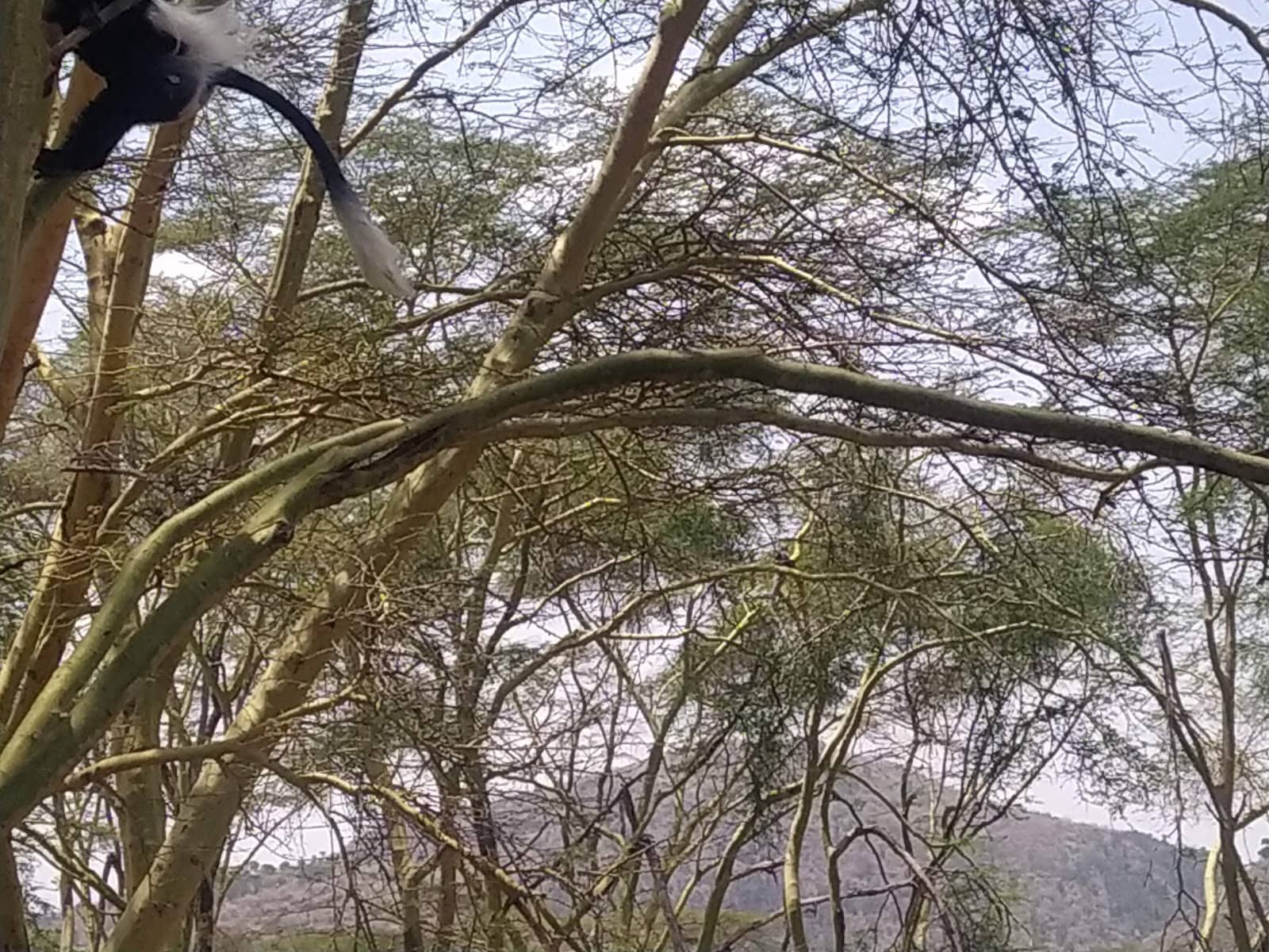 Stunning Natural Landscapes