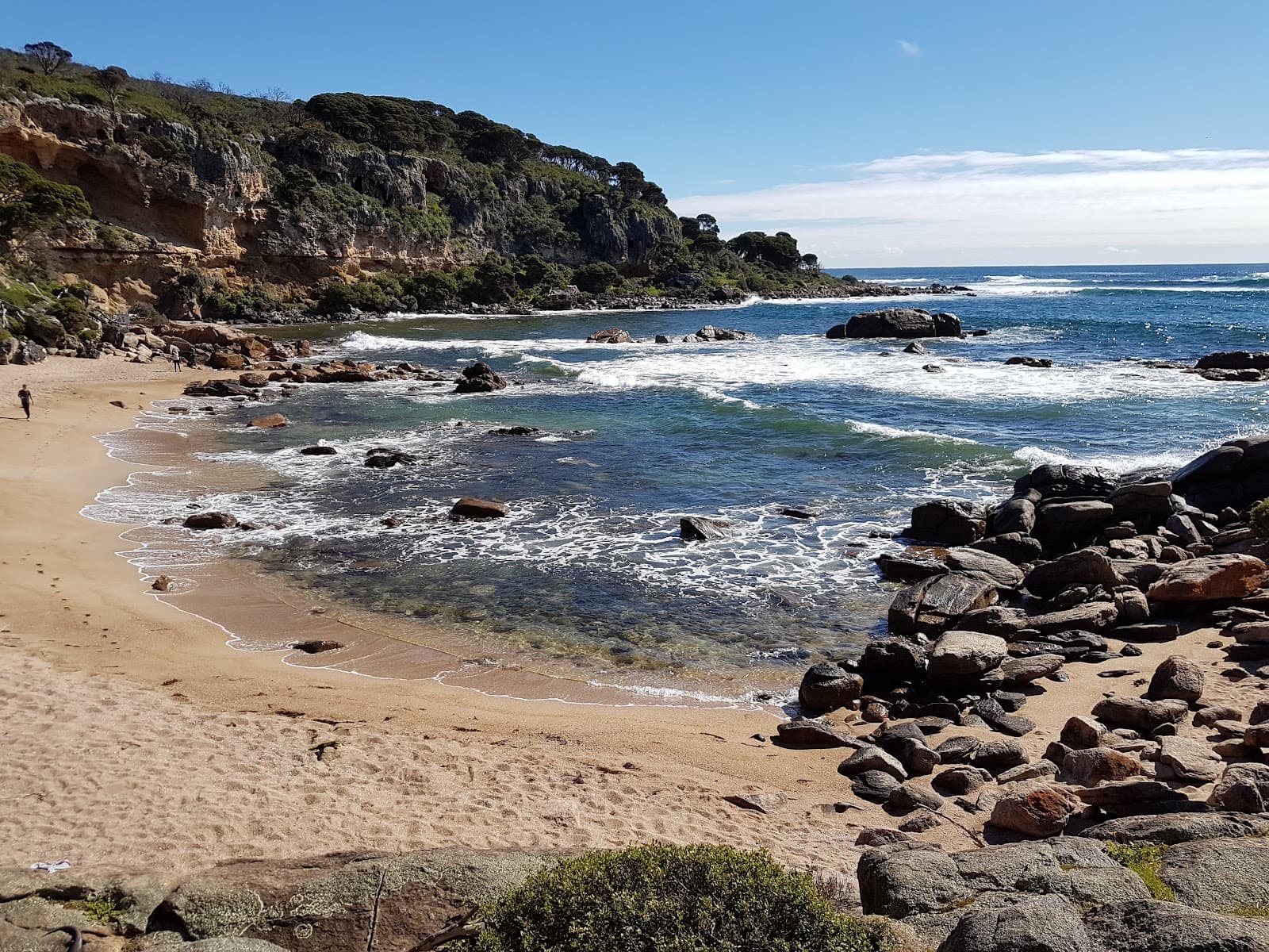 Shelly Cove - Image 1