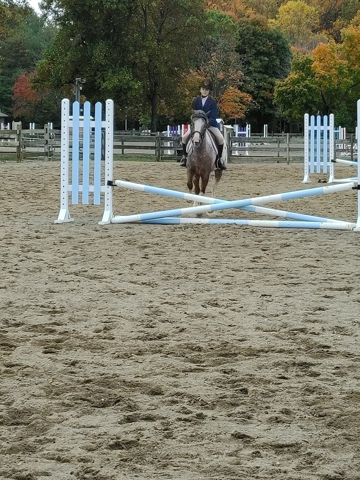 East Freehold Showgrounds (Monmouth County Fairgrounds) - Image 1