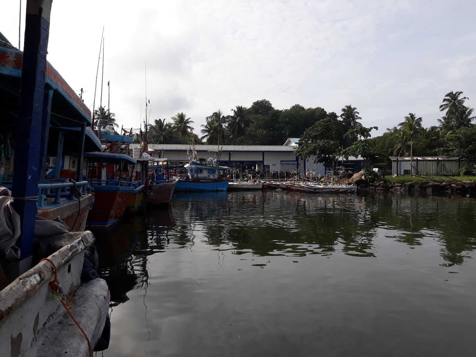 Beruwala Fish Harbor - Image 1