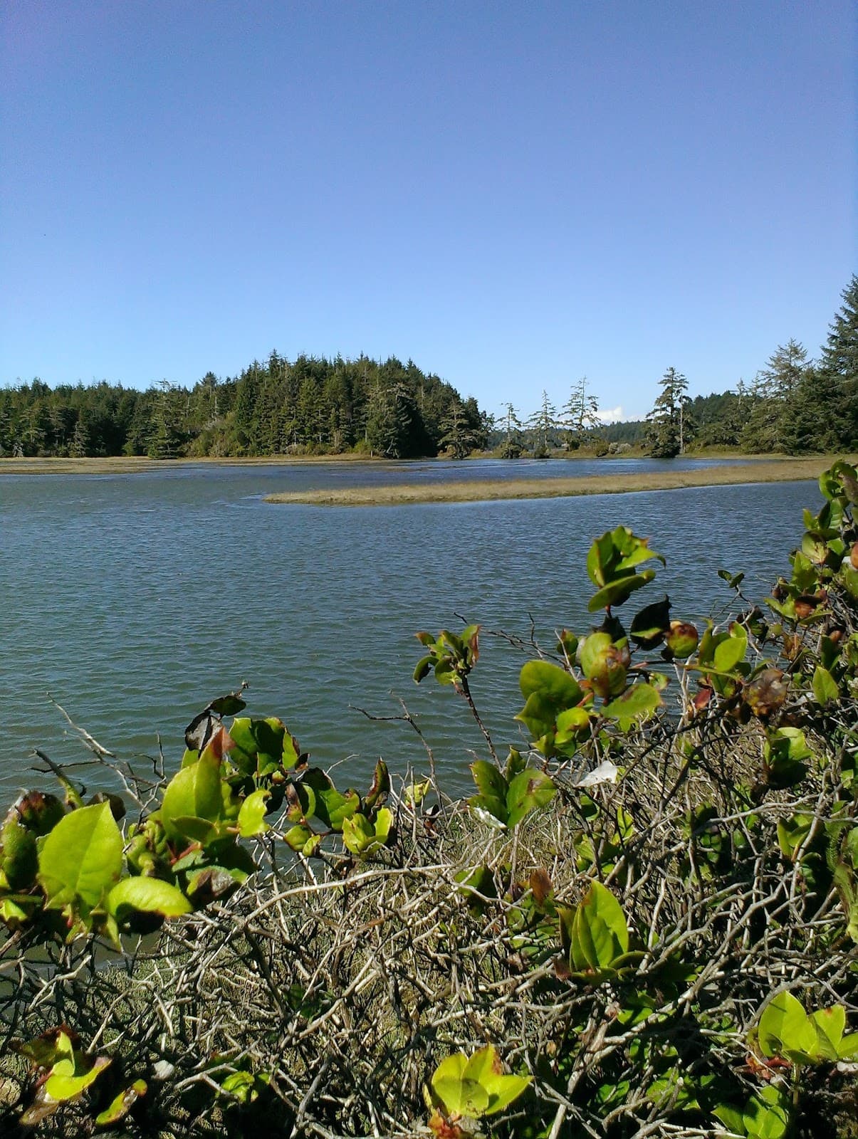 South Slough National Estuarine Research Reserve - Image 1