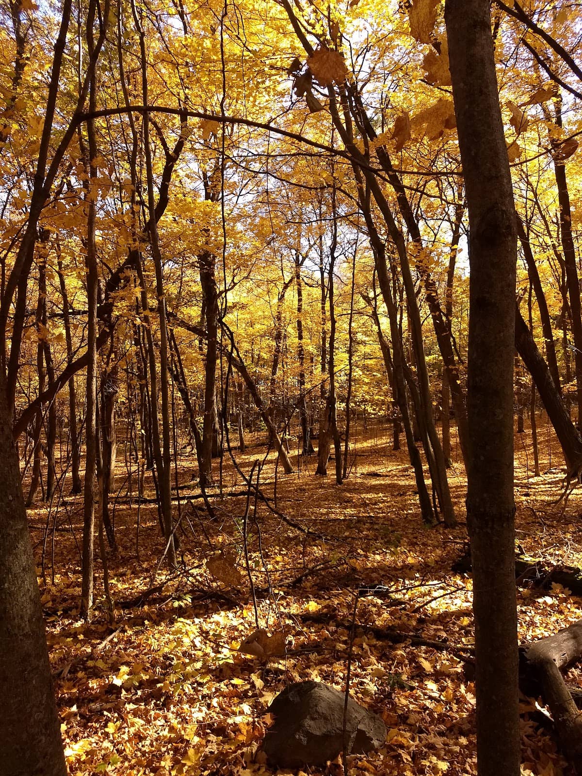 Abundant Wildlife Viewing