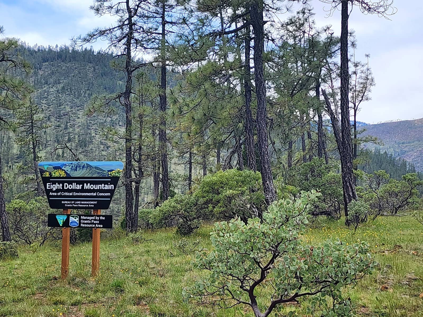 Accessible Boardwalk Trail