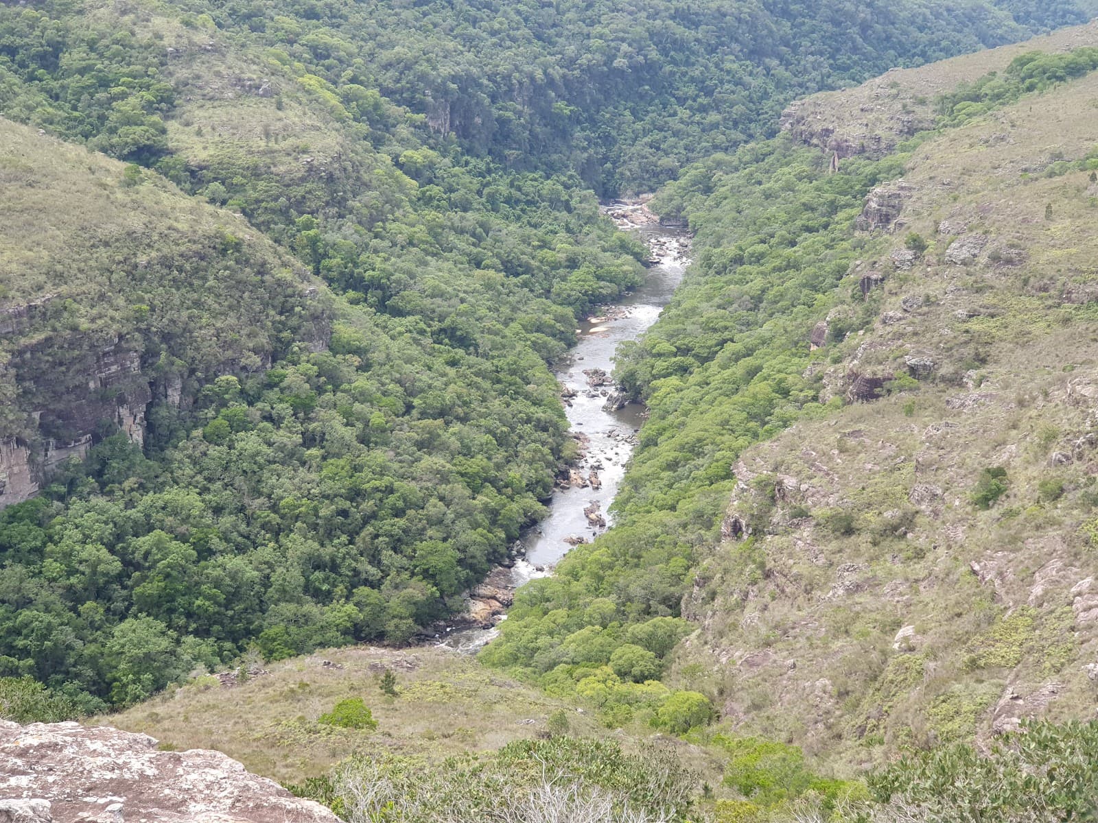Iapó River (park section) - Image 1