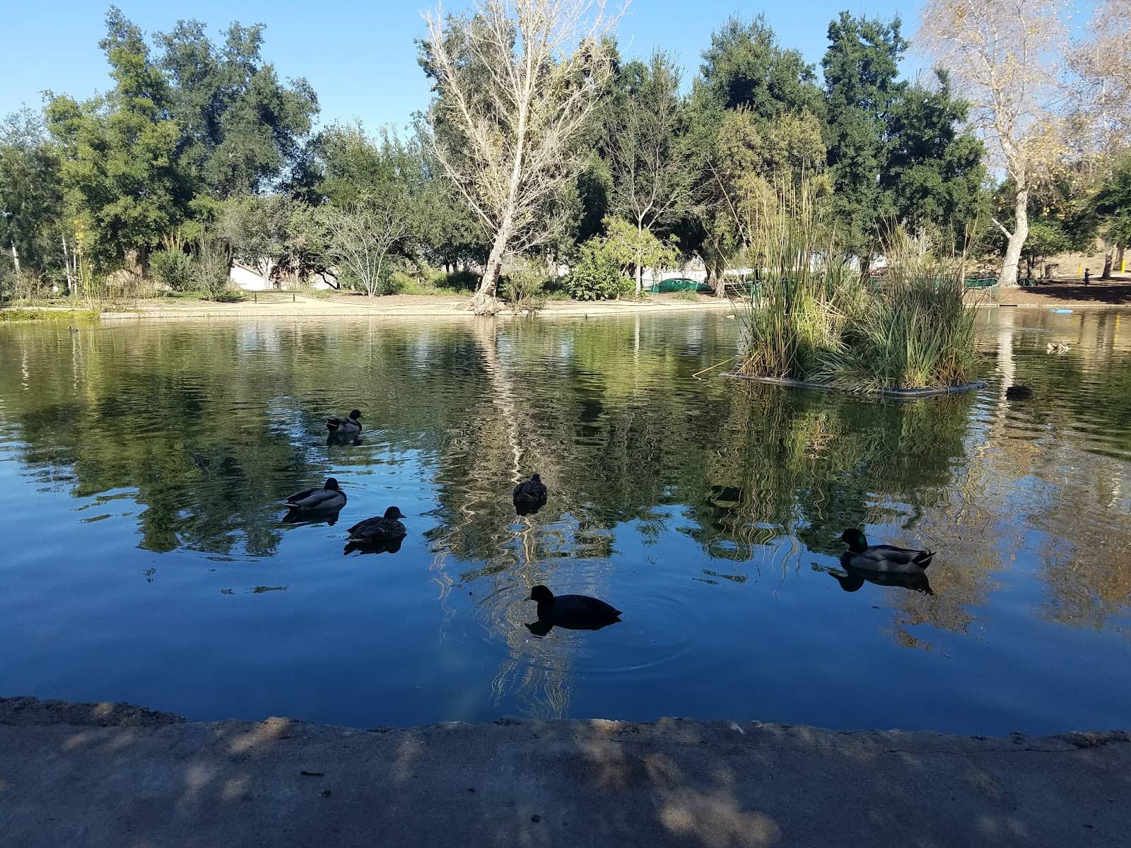 Community Gathering Spots