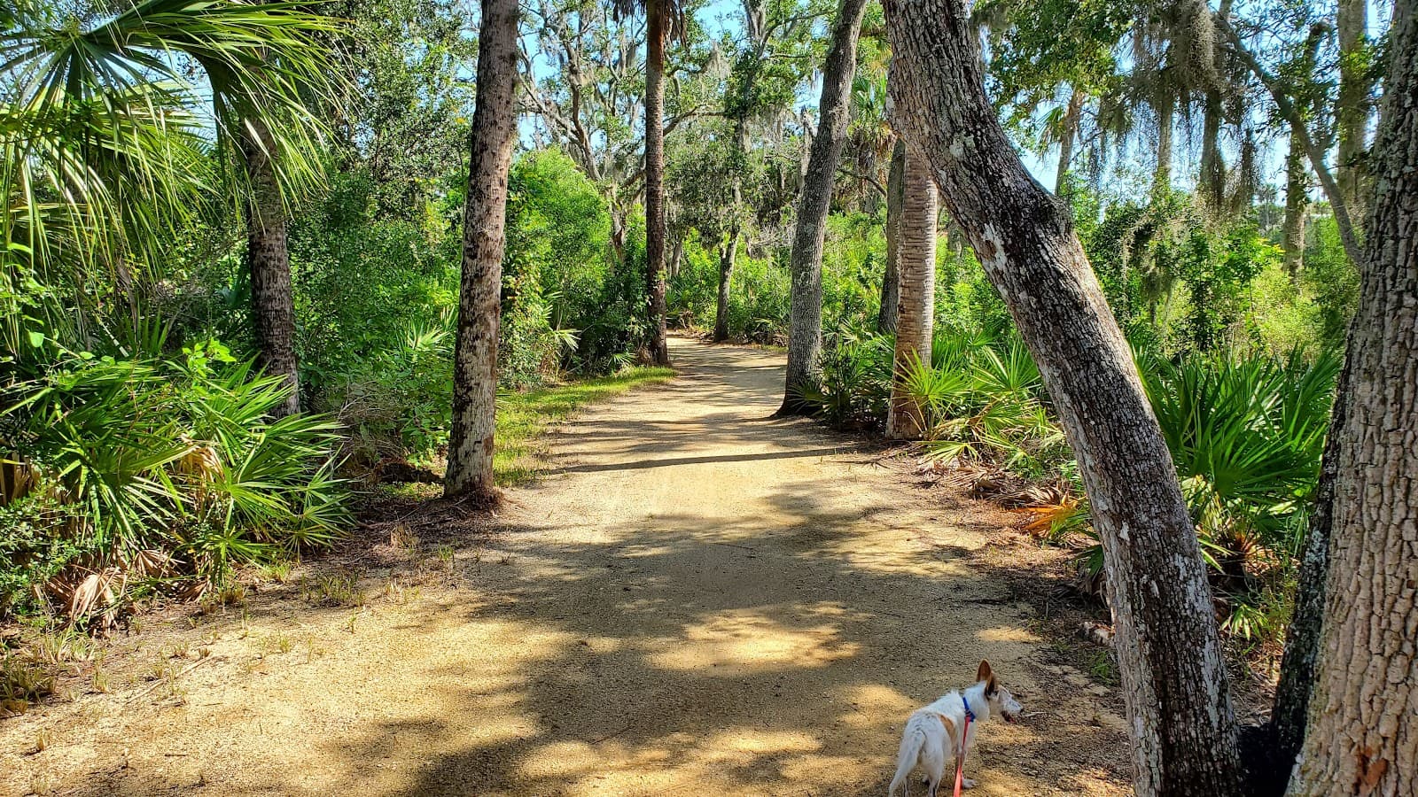 Long Creek Nature Preserve - Image 1