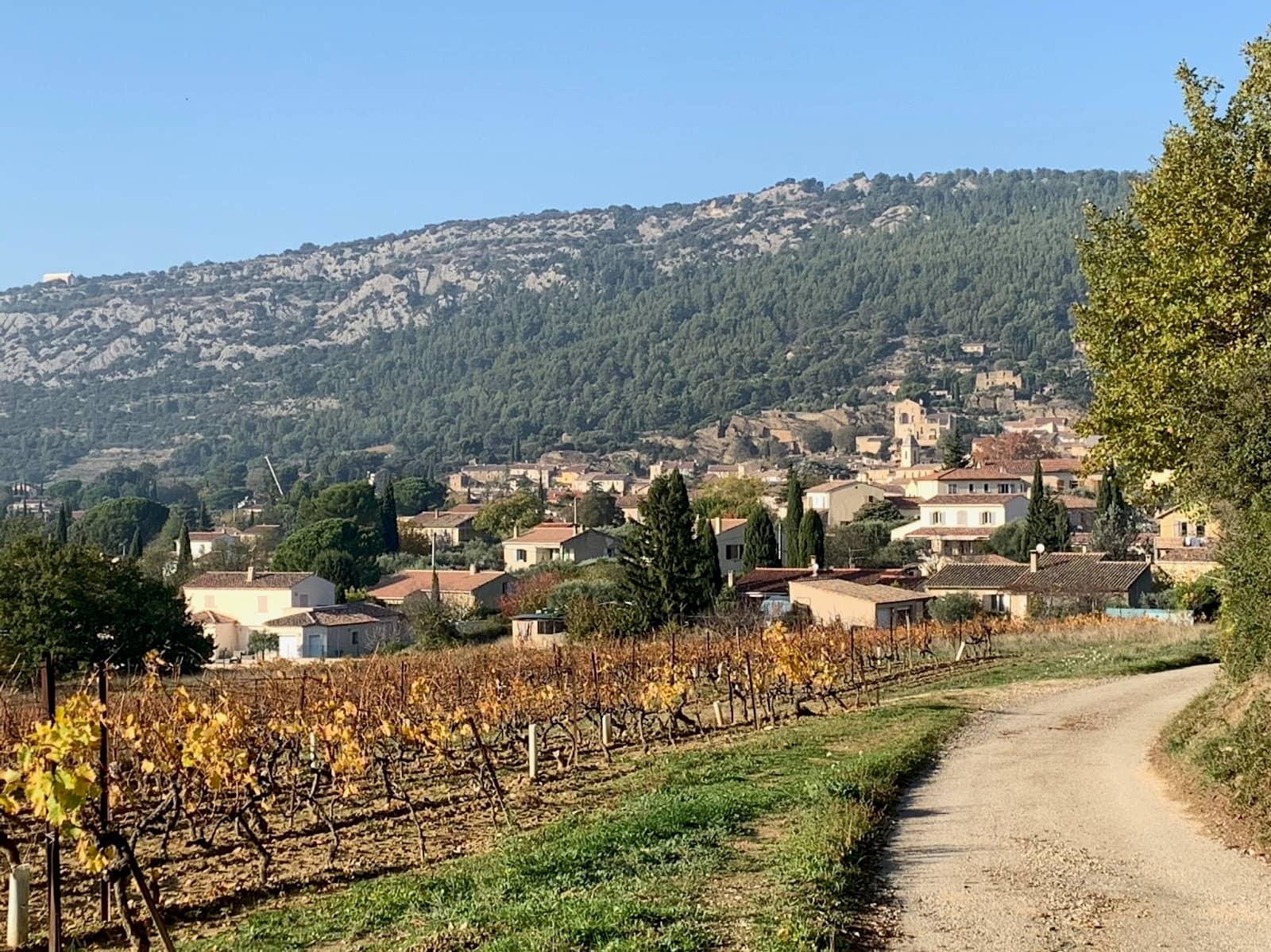 Côtes du Rhône Wines