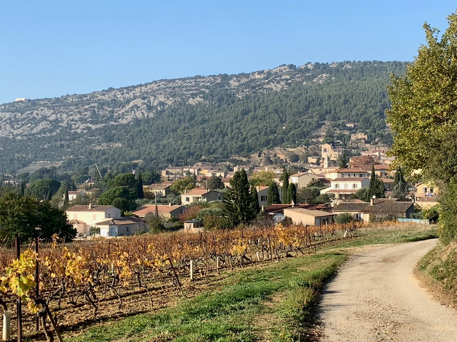 Beaumes-de-Venise - Image 1