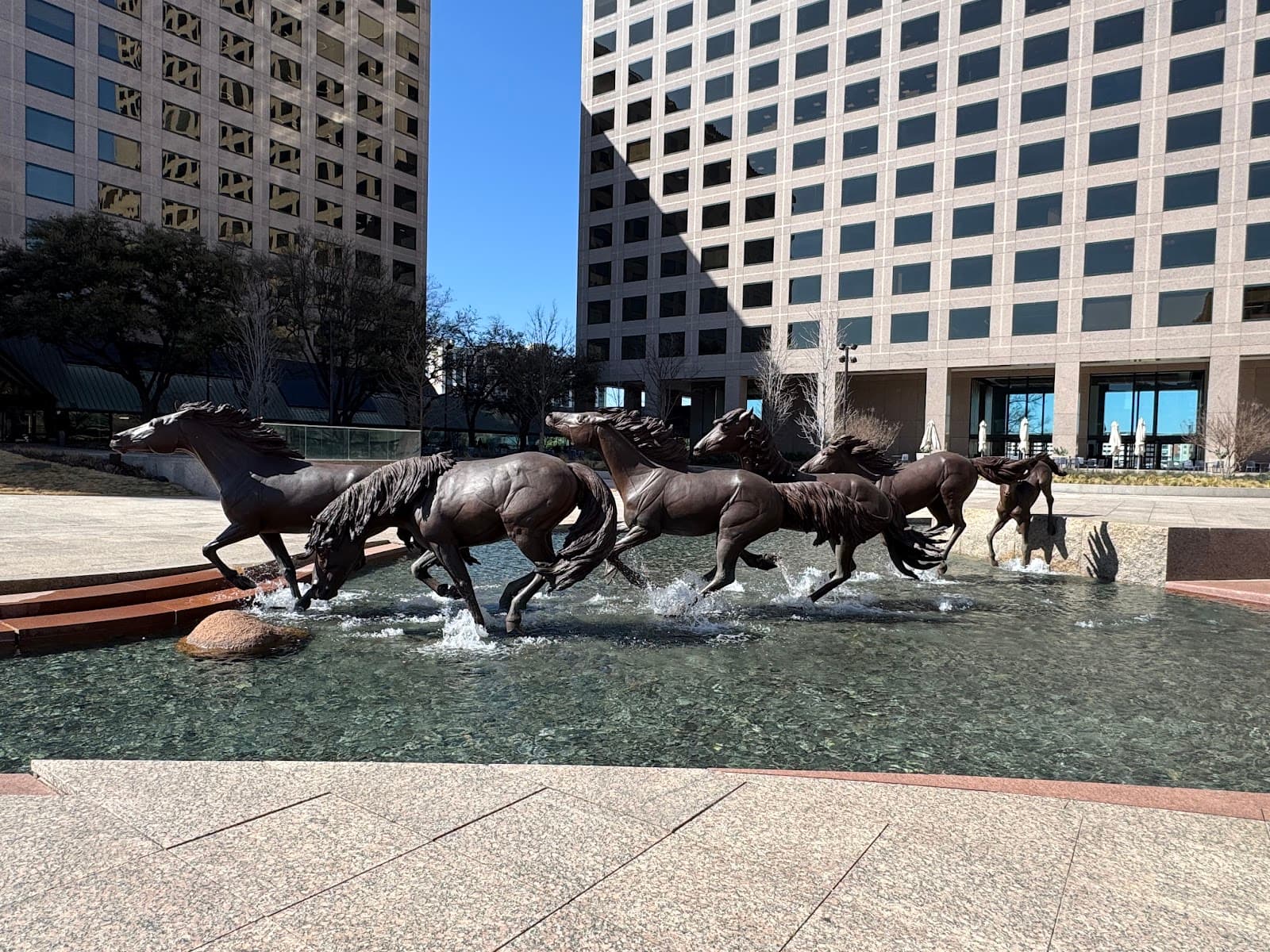 Mustangs of Las Colinas - Image 1