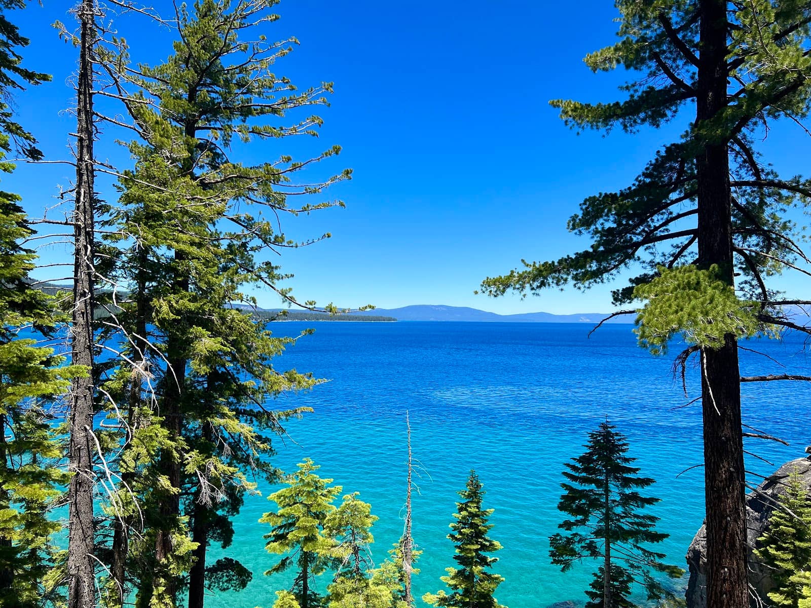 Crystal Clear Waters