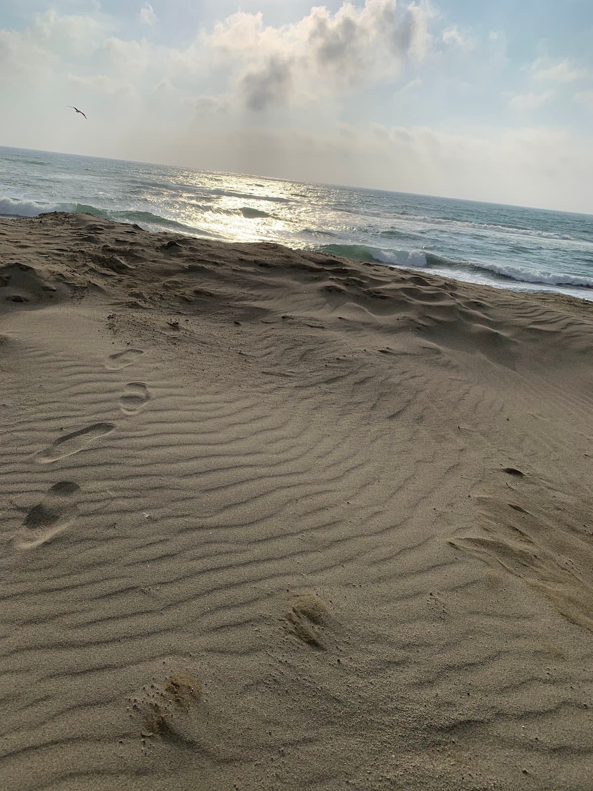 Shonai Sand Dunes - Image 1