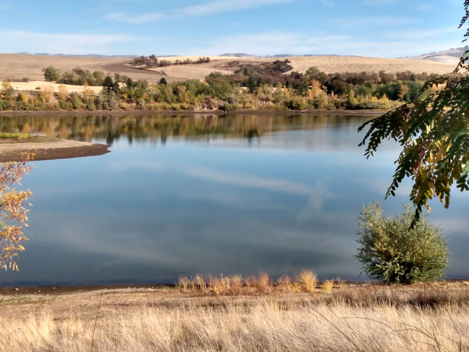 Fishing Opportunities