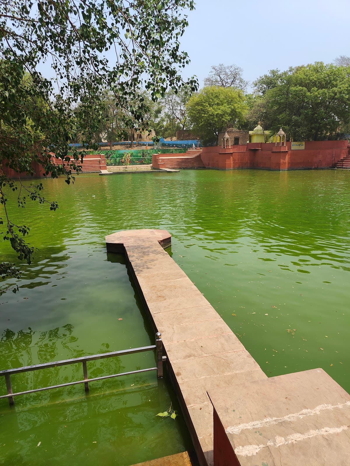 Pili Pokhar, Barsana - Image 1