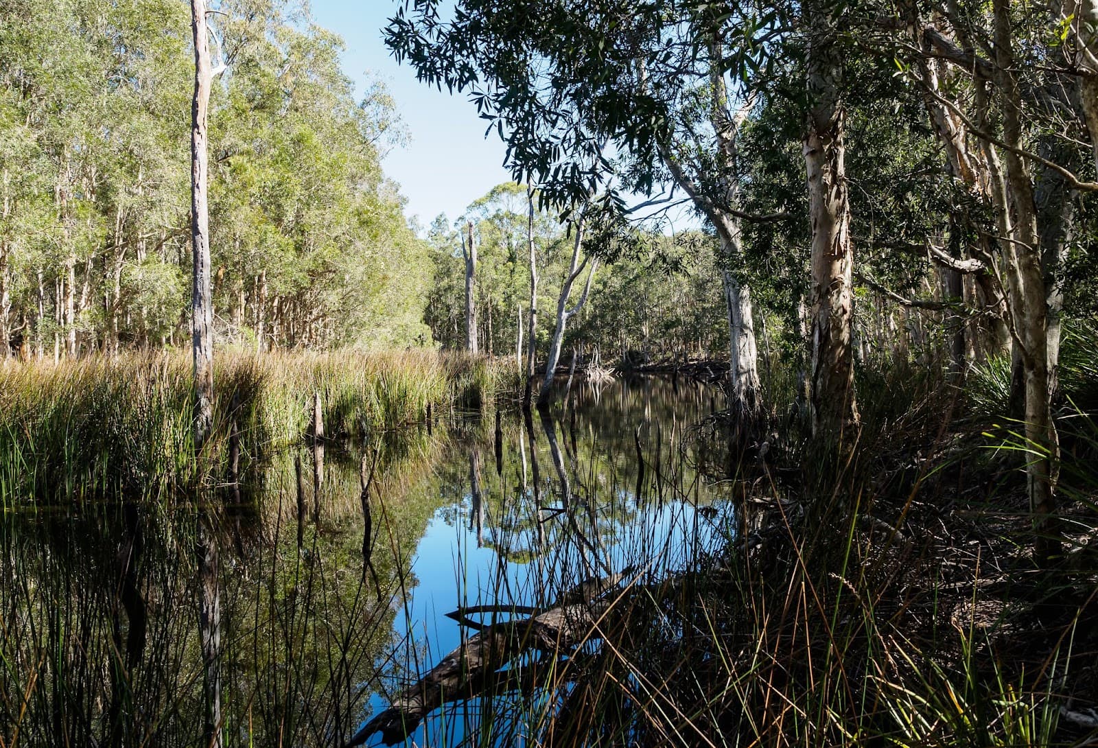 Venman Bushland National Park - Image 1