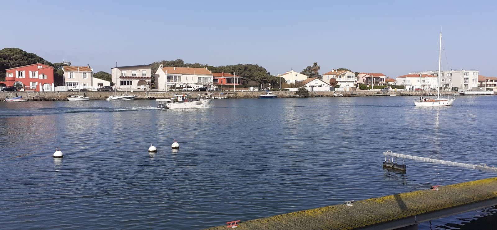 Dog-Friendly Beaches