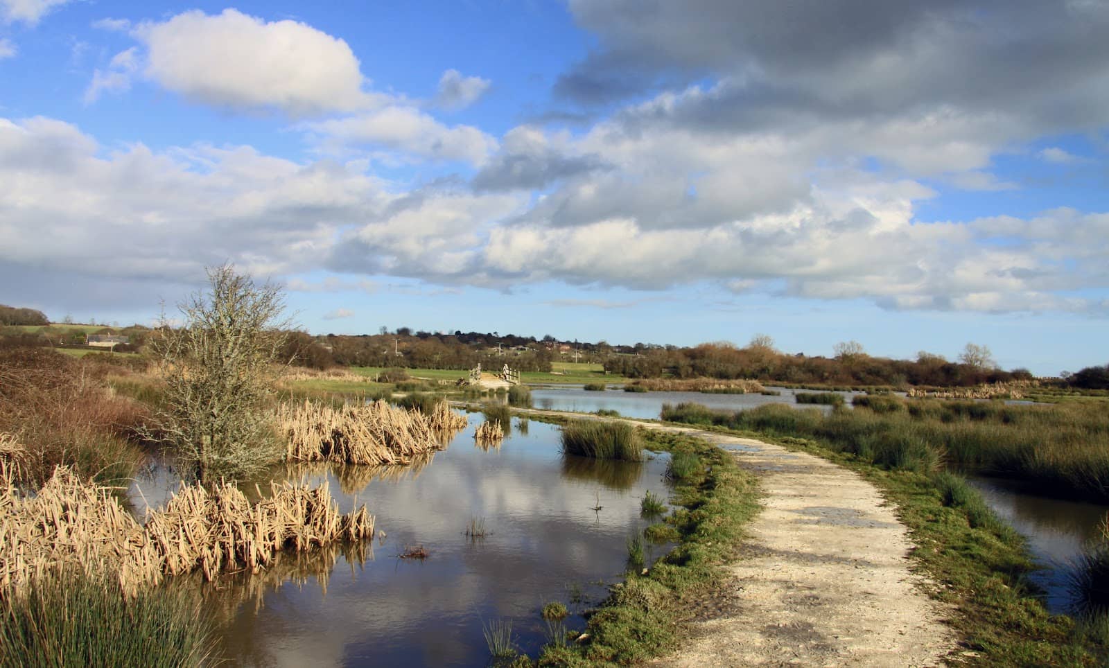 Circular Walk Views