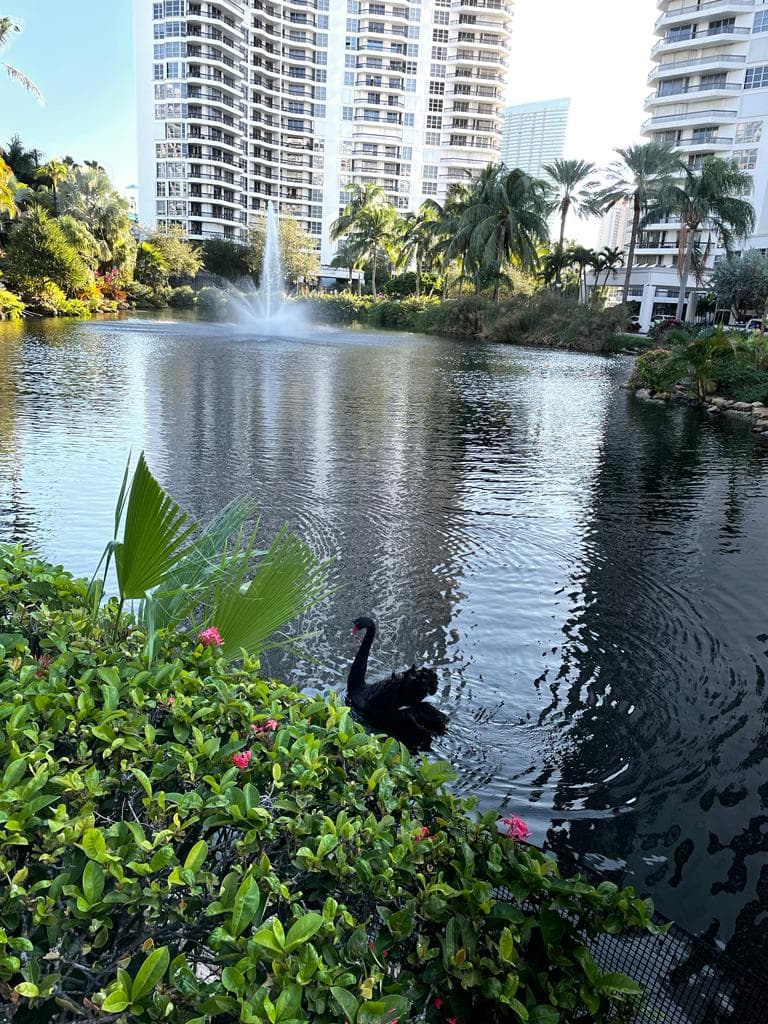 Playas General Villamil - Image 1