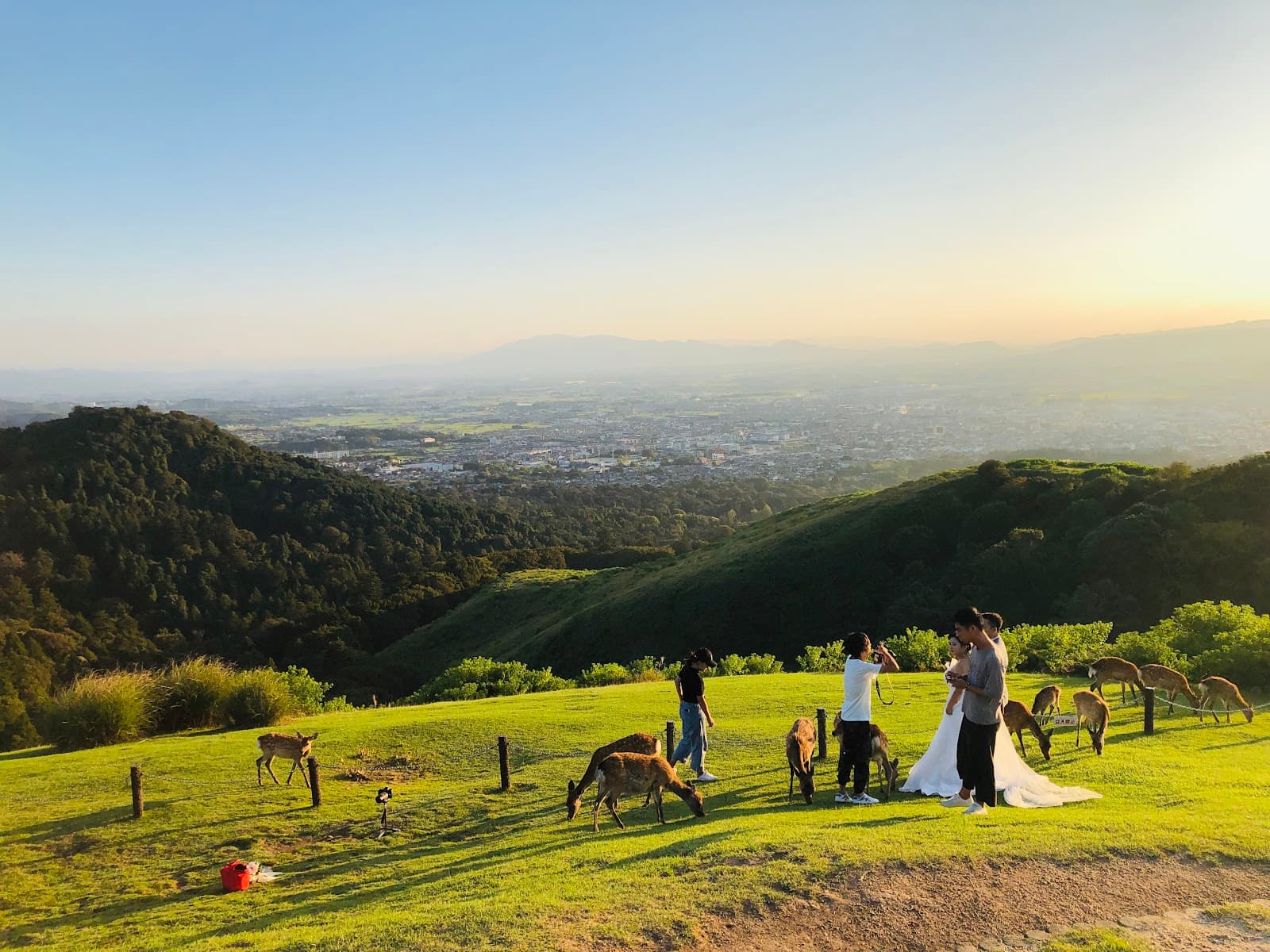 Wakakusa Driveway Lookout - Image 1