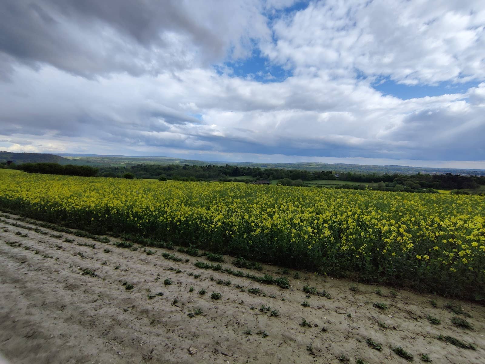 Tranquil Green Spaces