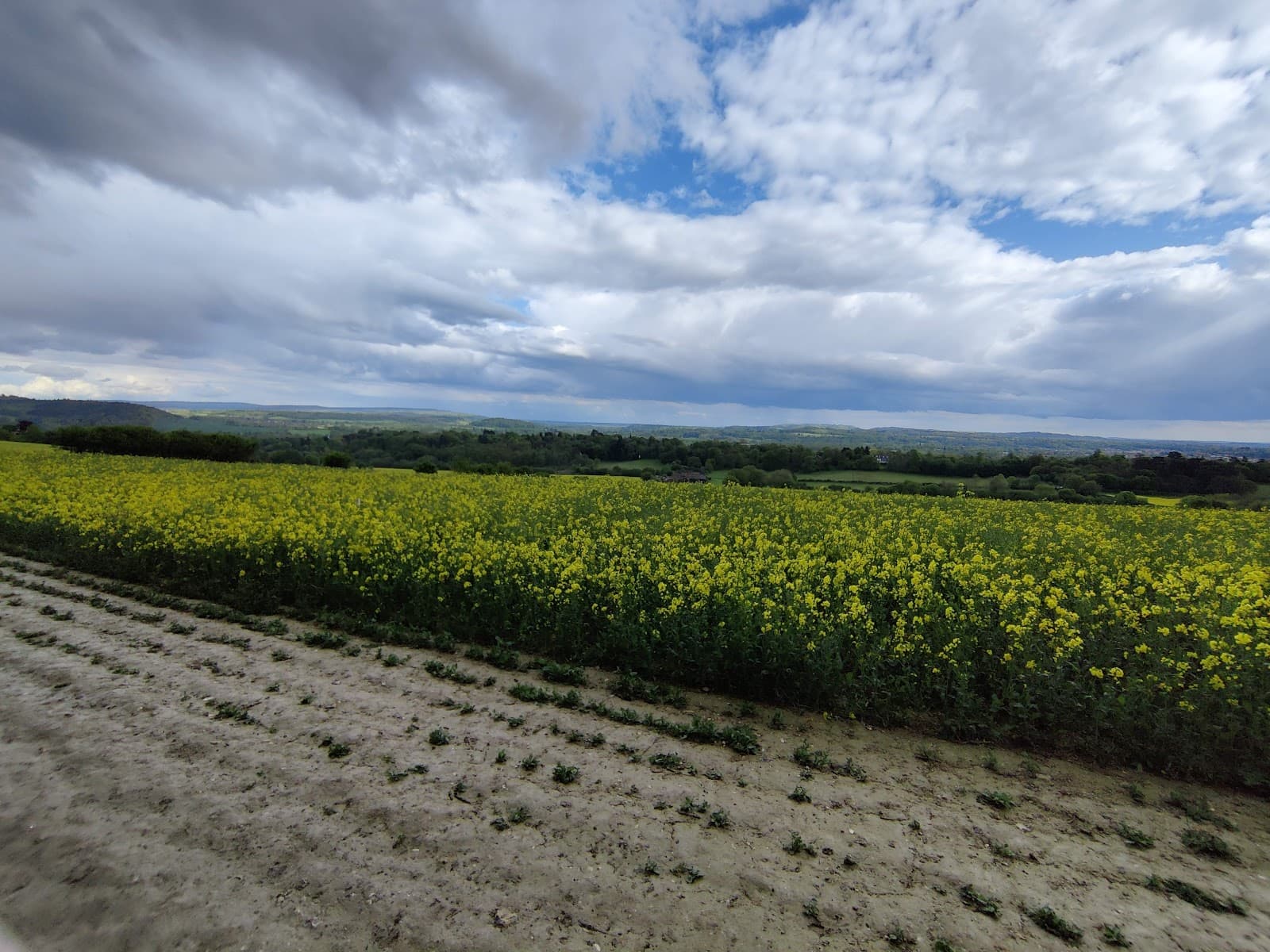 The Mount Guildford - Image 1