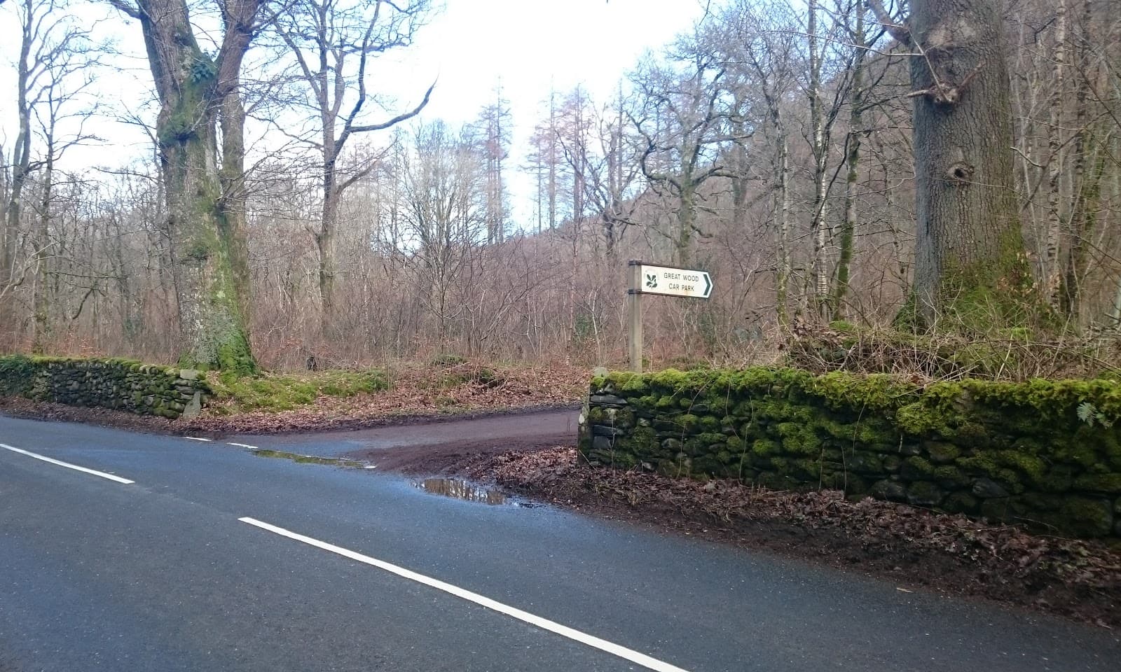 Great Wood Derwentwater - Image 1