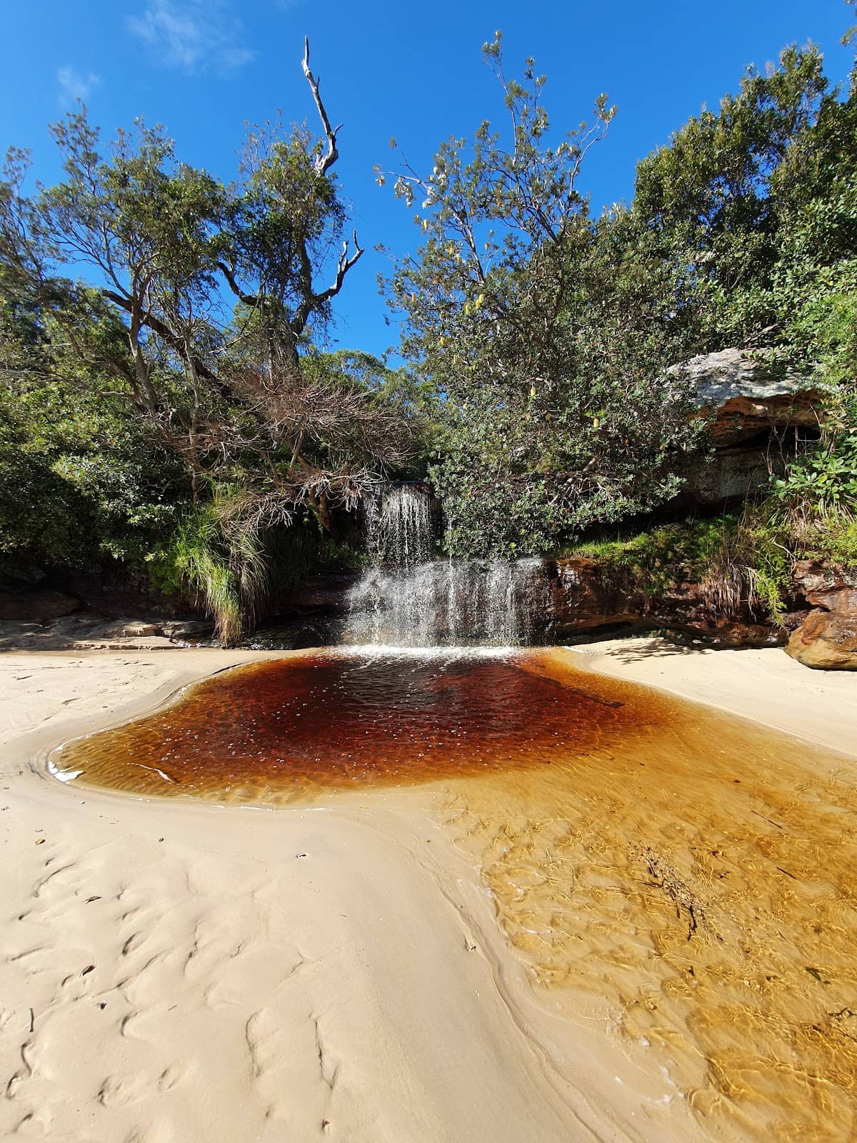 Tranquil Swimming Spot