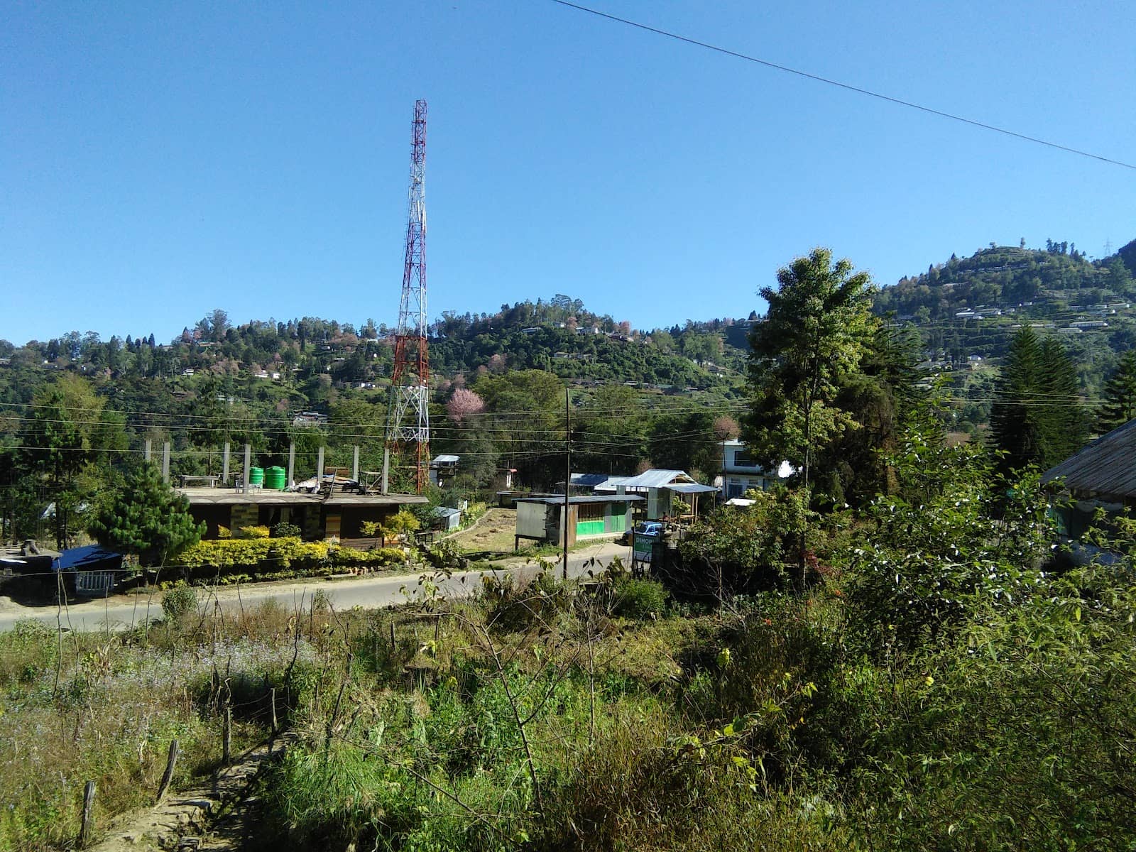 Local Way of Life