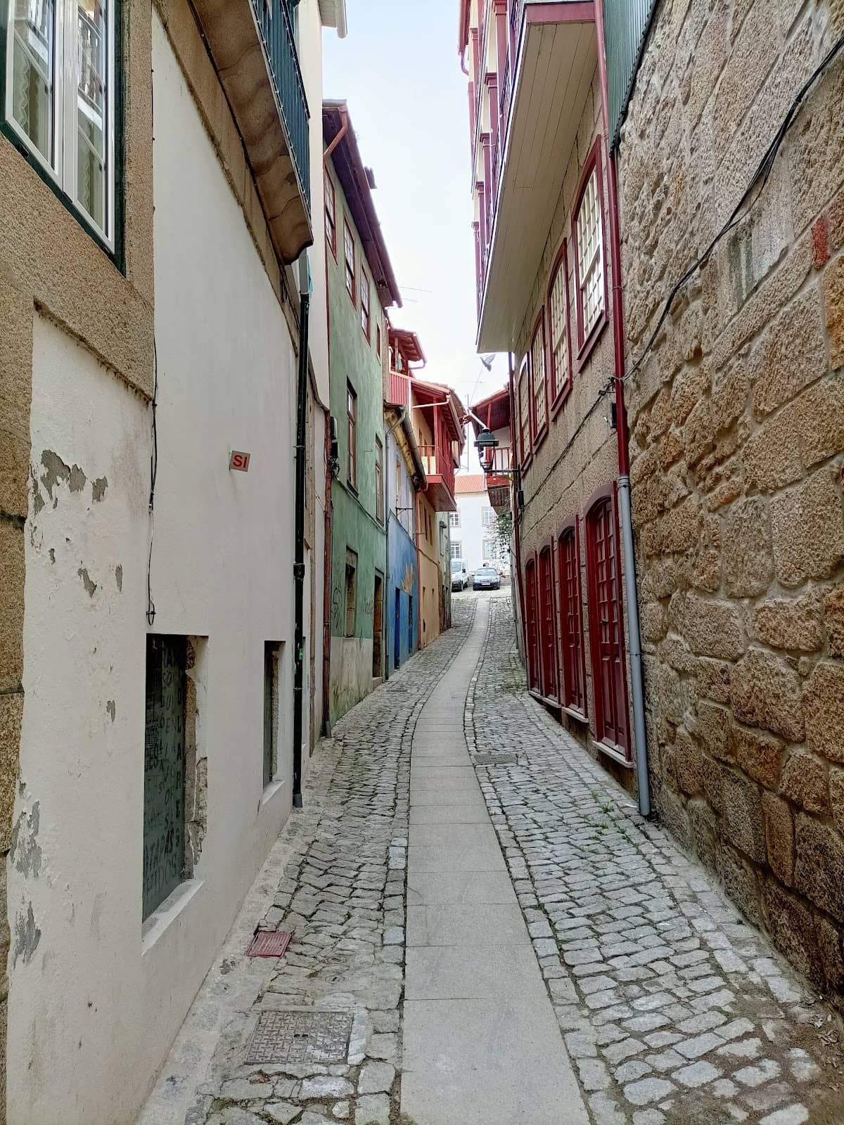 Street Food Delights