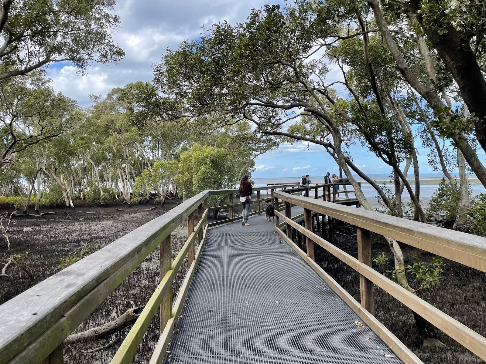 Coochiemudlo Mangrove Boardwalk - Image 1