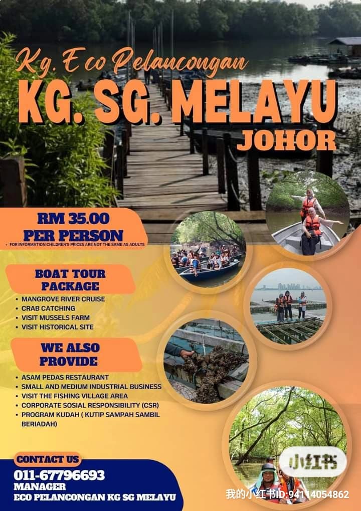 Sungai Melayu Mangrove Tour - Image 1