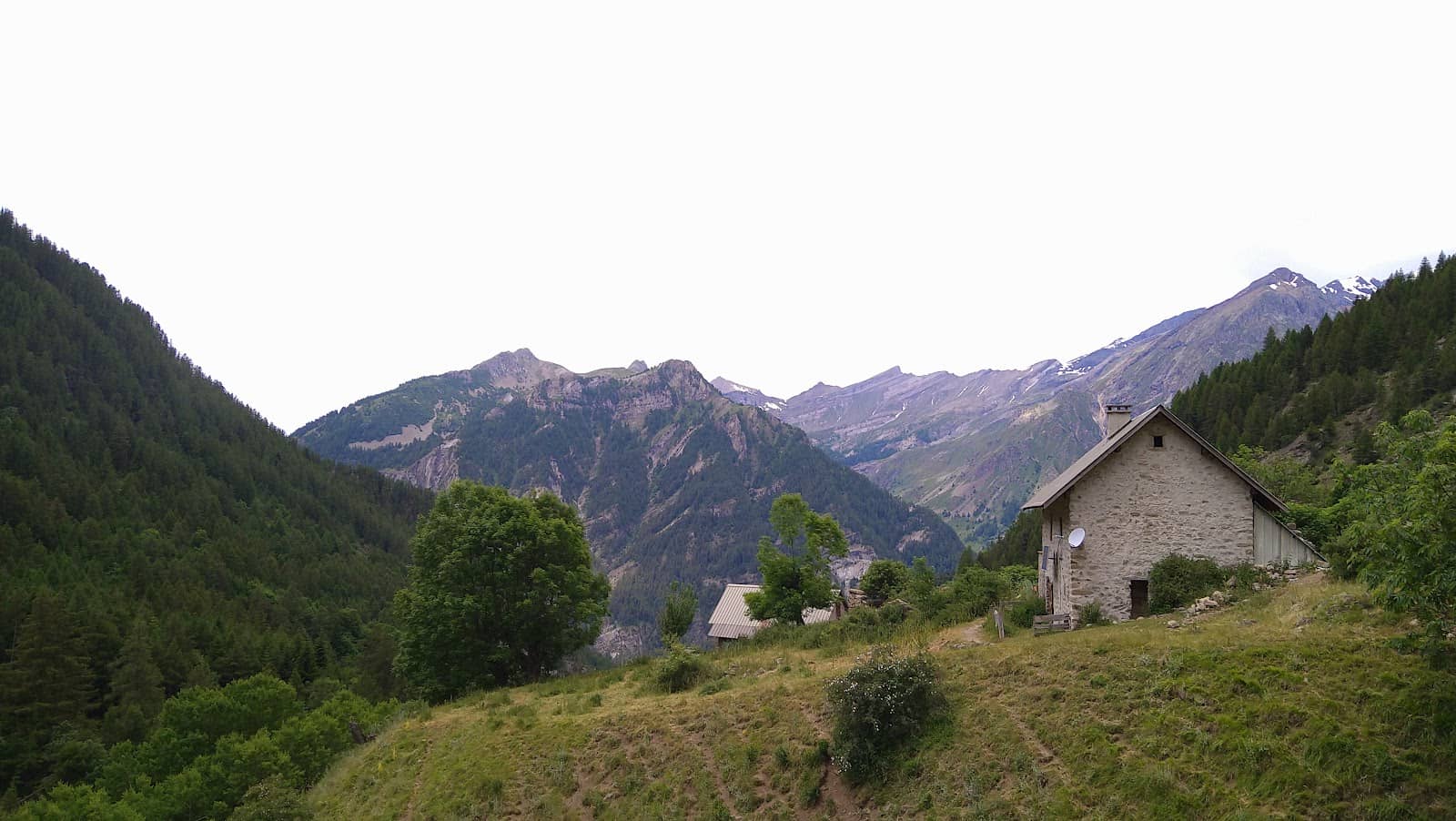 Vertical photo